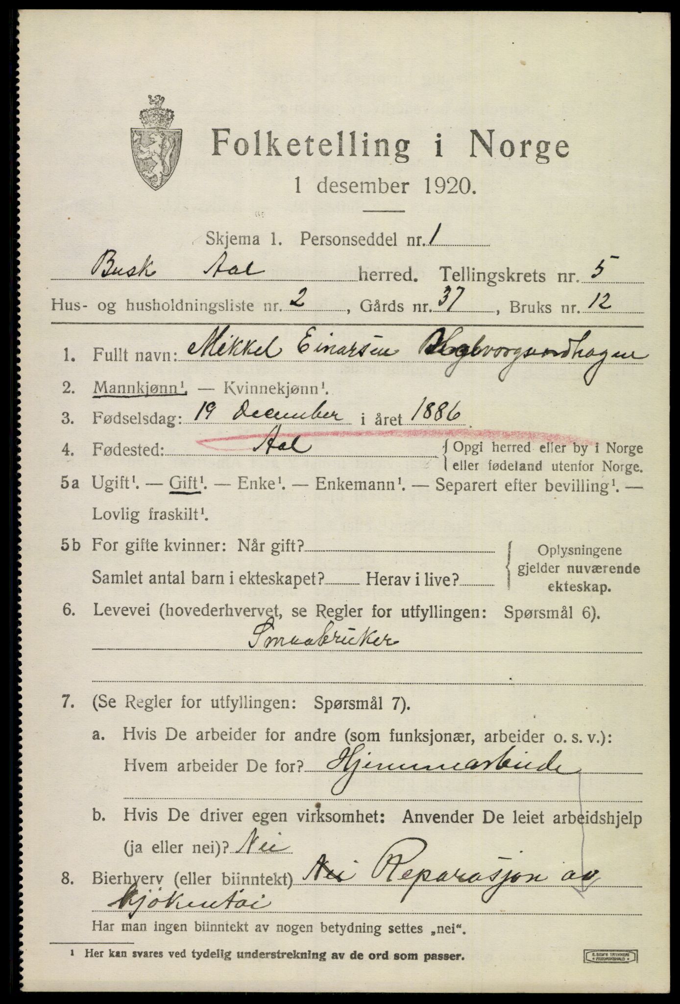 SAKO, 1920 census for Ål, 1920, p. 3878