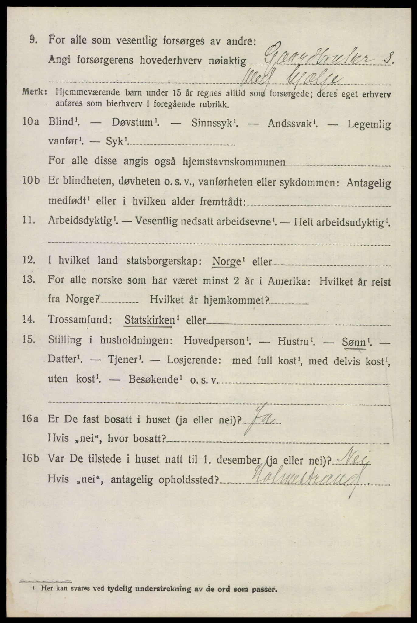 SAKO, 1920 census for Våle, 1920, p. 1245