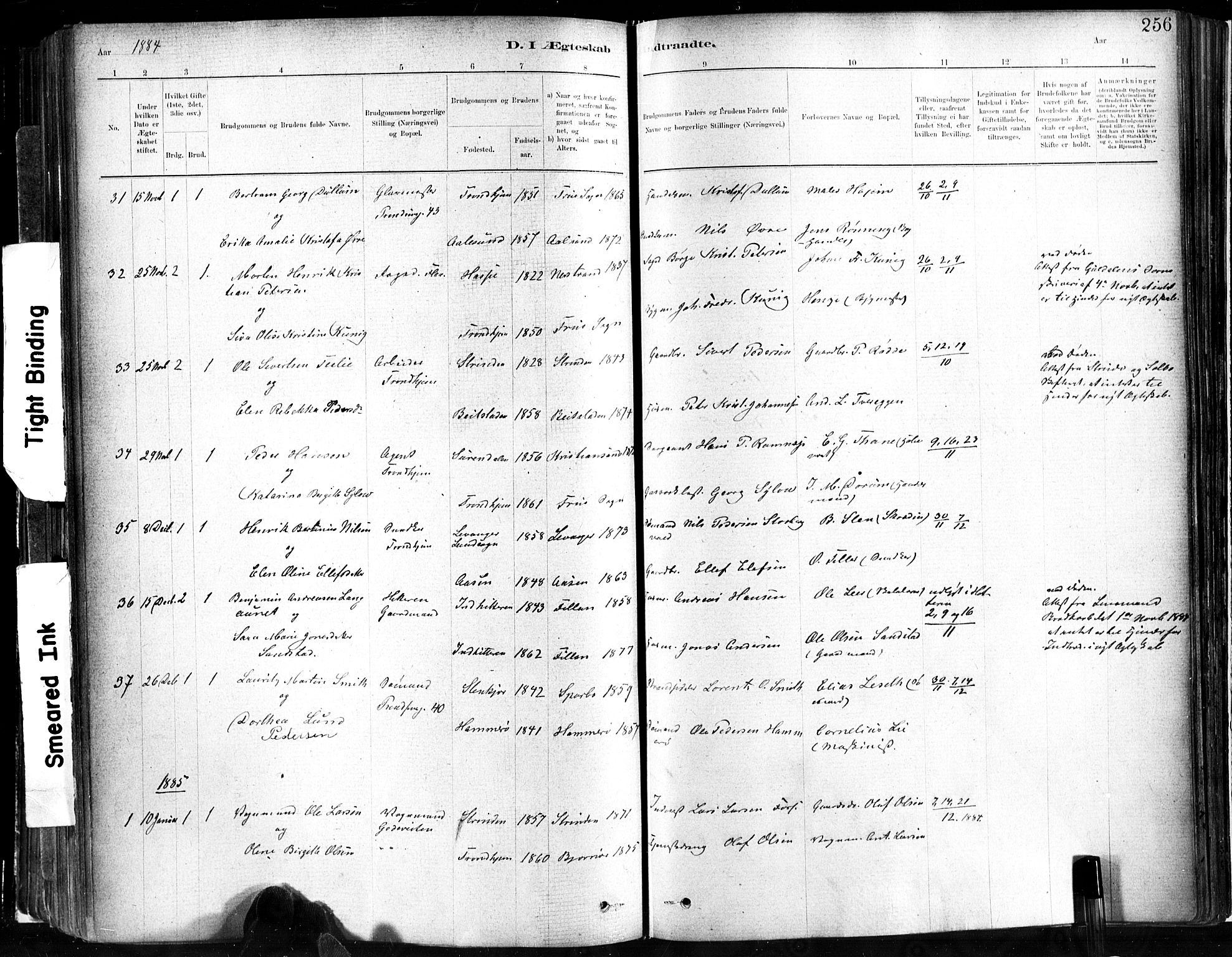 Ministerialprotokoller, klokkerbøker og fødselsregistre - Sør-Trøndelag, SAT/A-1456/602/L0119: Parish register (official) no. 602A17, 1880-1901, p. 256