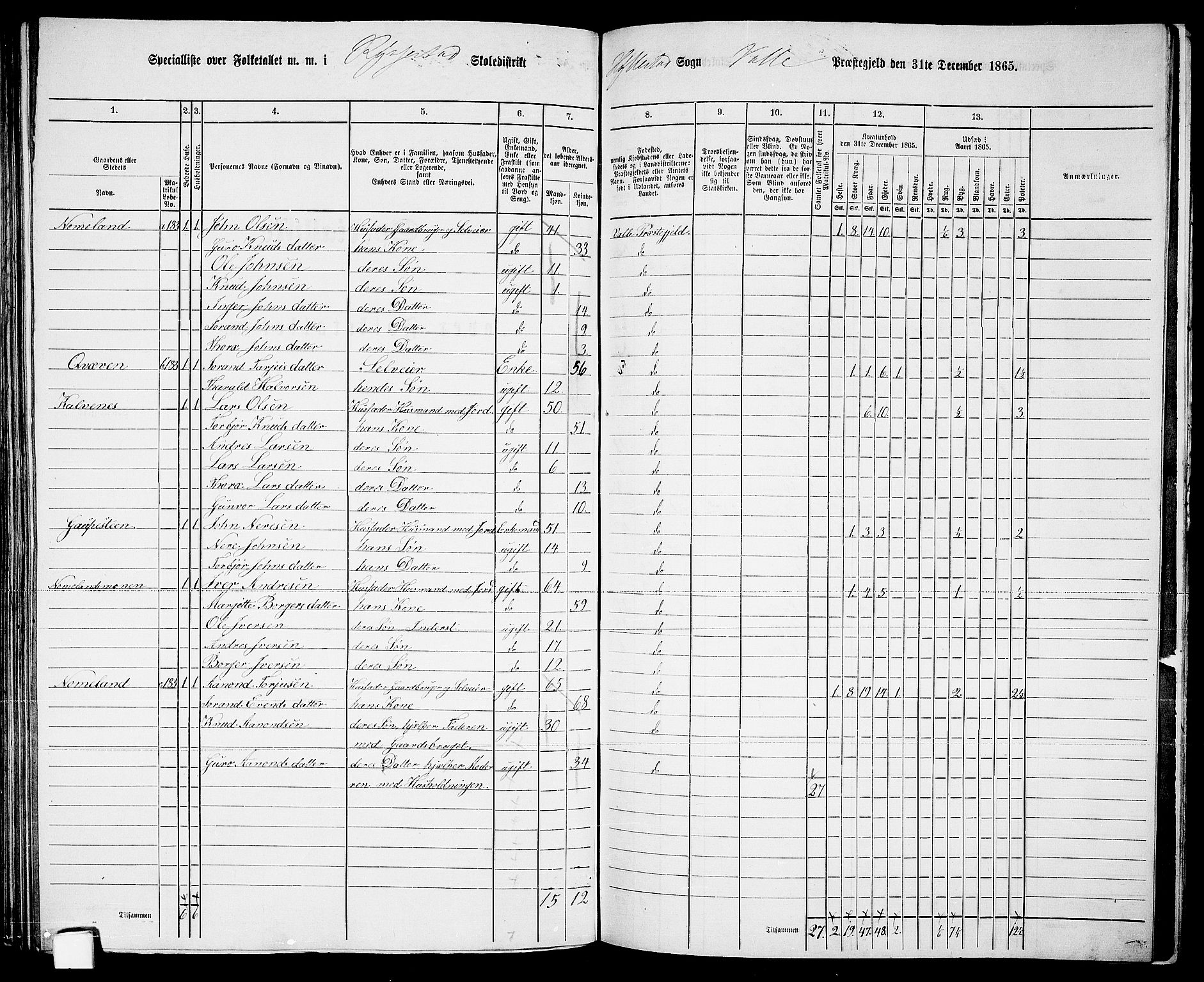 RA, 1865 census for Valle, 1865, p. 122