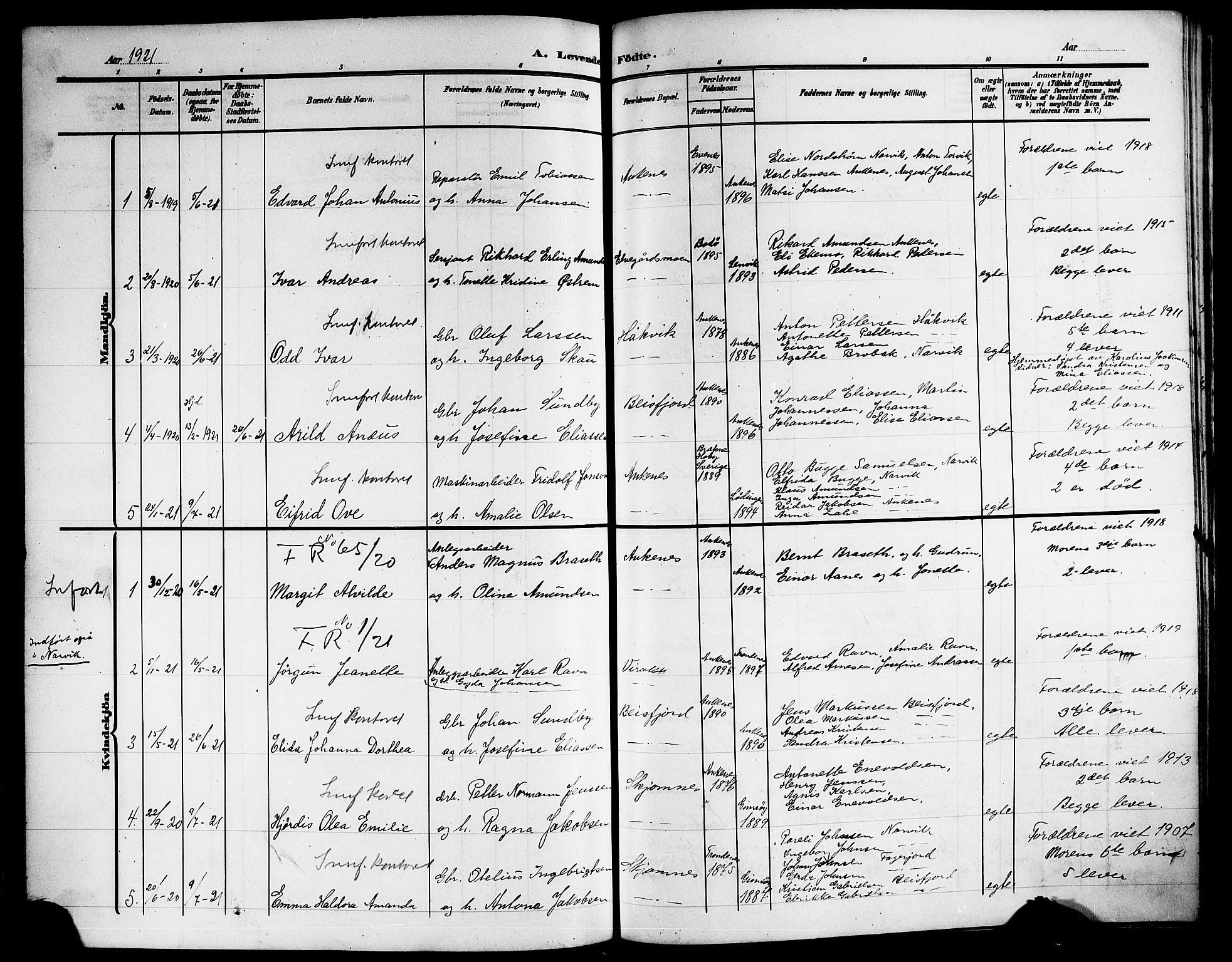 Ministerialprotokoller, klokkerbøker og fødselsregistre - Nordland, AV/SAT-A-1459/866/L0954: Parish register (copy) no. 866C03, 1905-1923