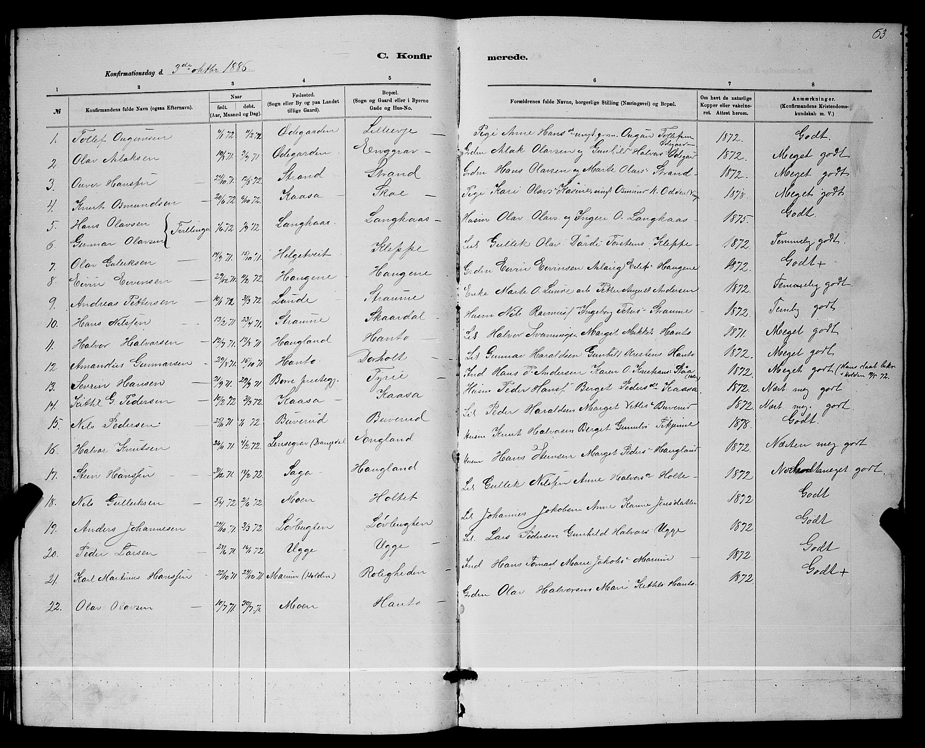 Lunde kirkebøker, SAKO/A-282/G/Ga/L0001b: Parish register (copy) no. I 1, 1879-1887, p. 63