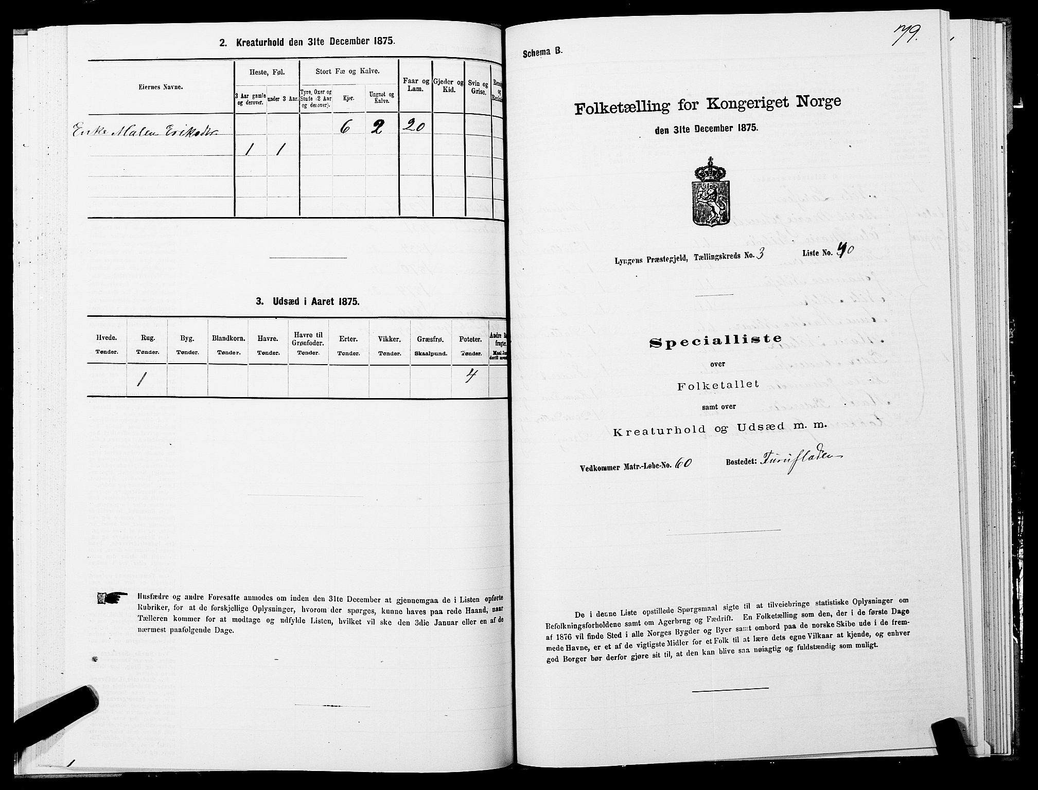 SATØ, 1875 census for 1938P Lyngen, 1875, p. 3079
