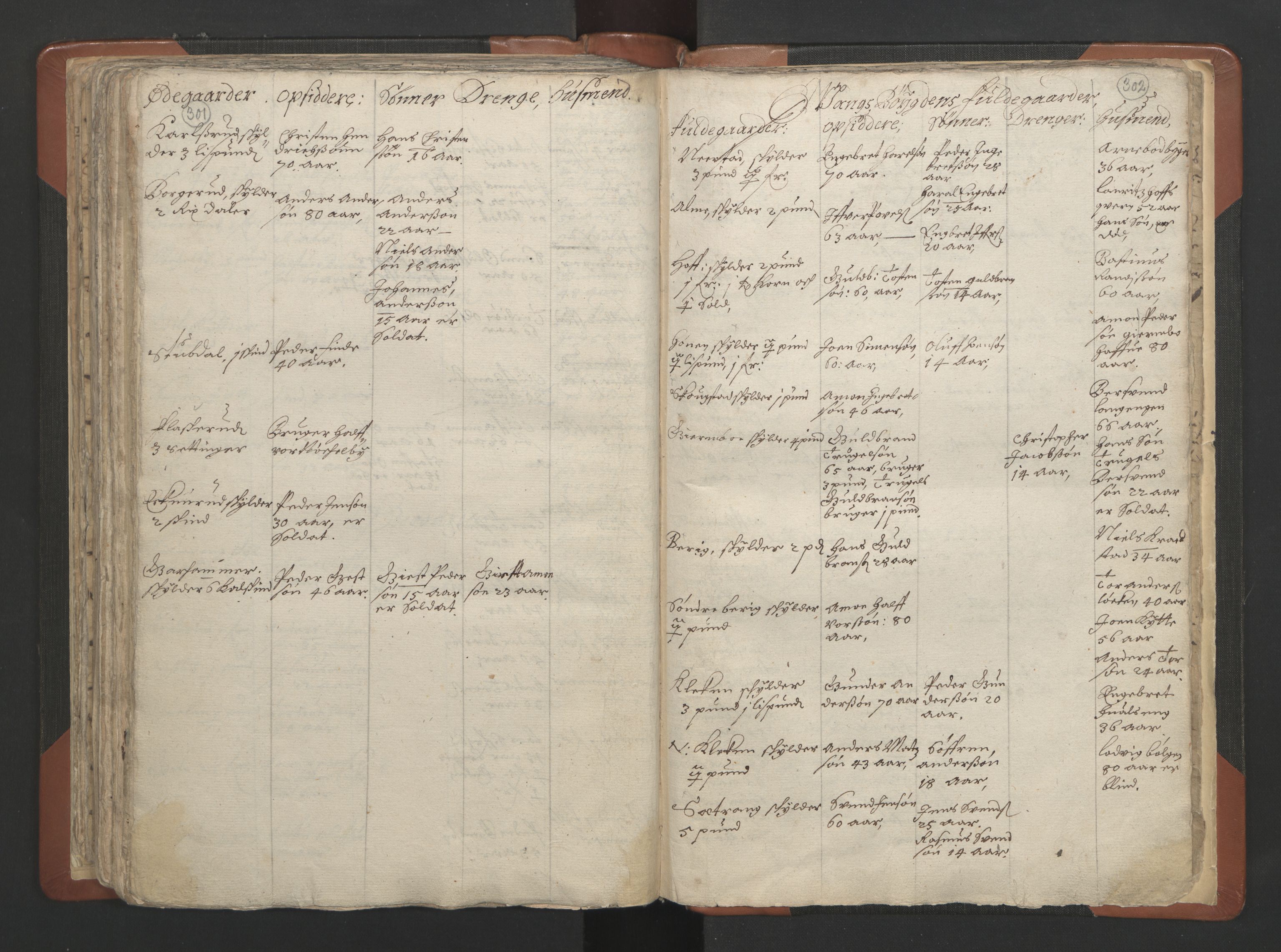 RA, Vicar's Census 1664-1666, no. 7: Hadeland deanery, 1664-1666, p. 301-302