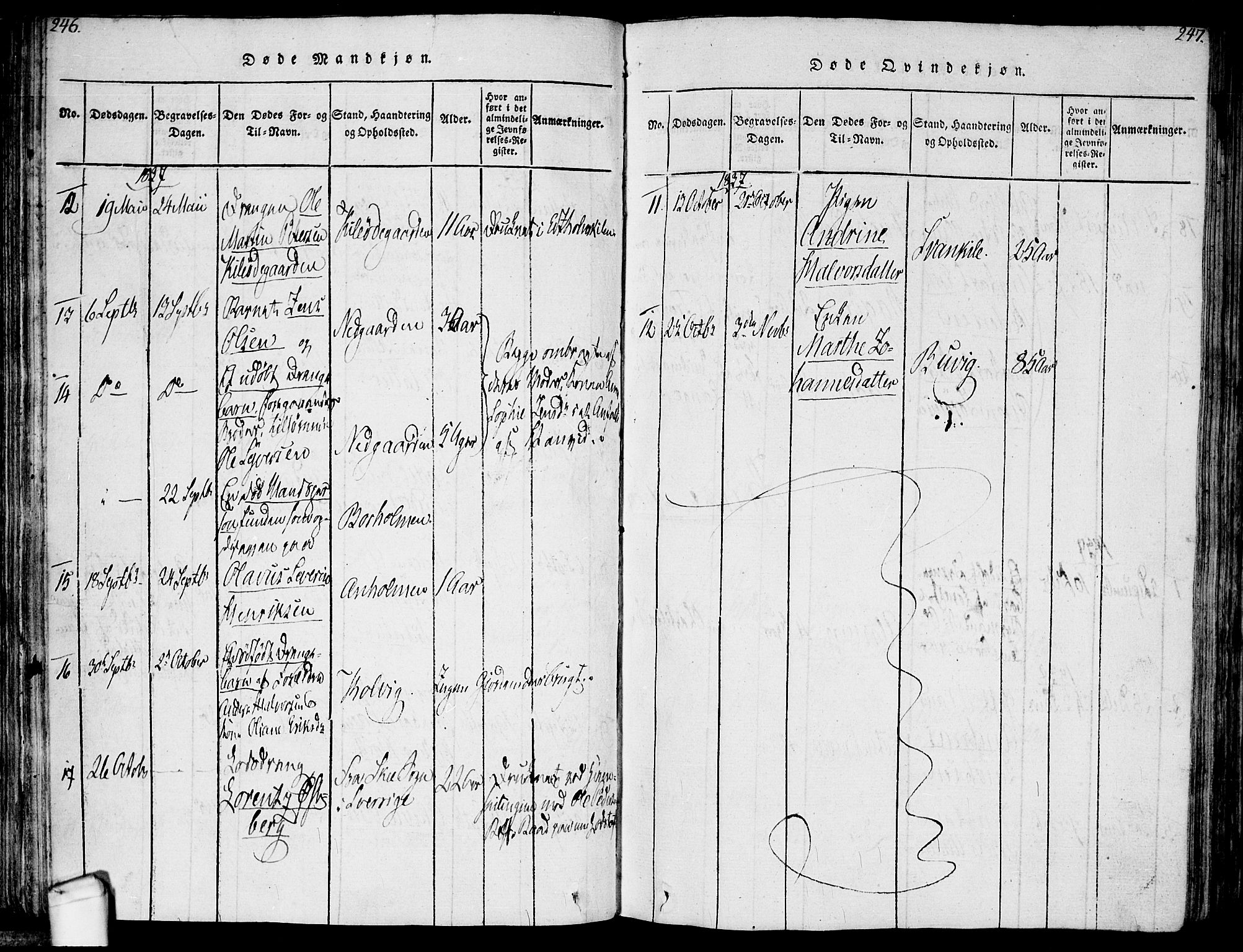 Hvaler prestekontor Kirkebøker, SAO/A-2001/F/Fa/L0005: Parish register (official) no. I 5, 1816-1845, p. 246-247