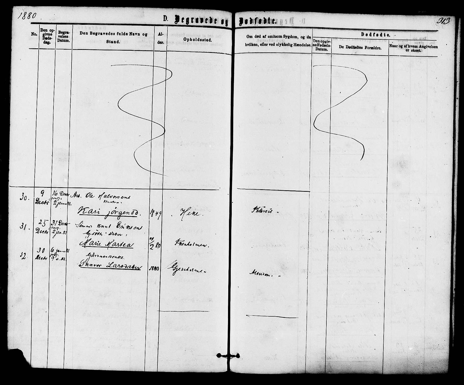 Skåtøy kirkebøker, SAKO/A-304/F/Fa/L0001: Parish register (official) no. I 1, 1874-1883, p. 313
