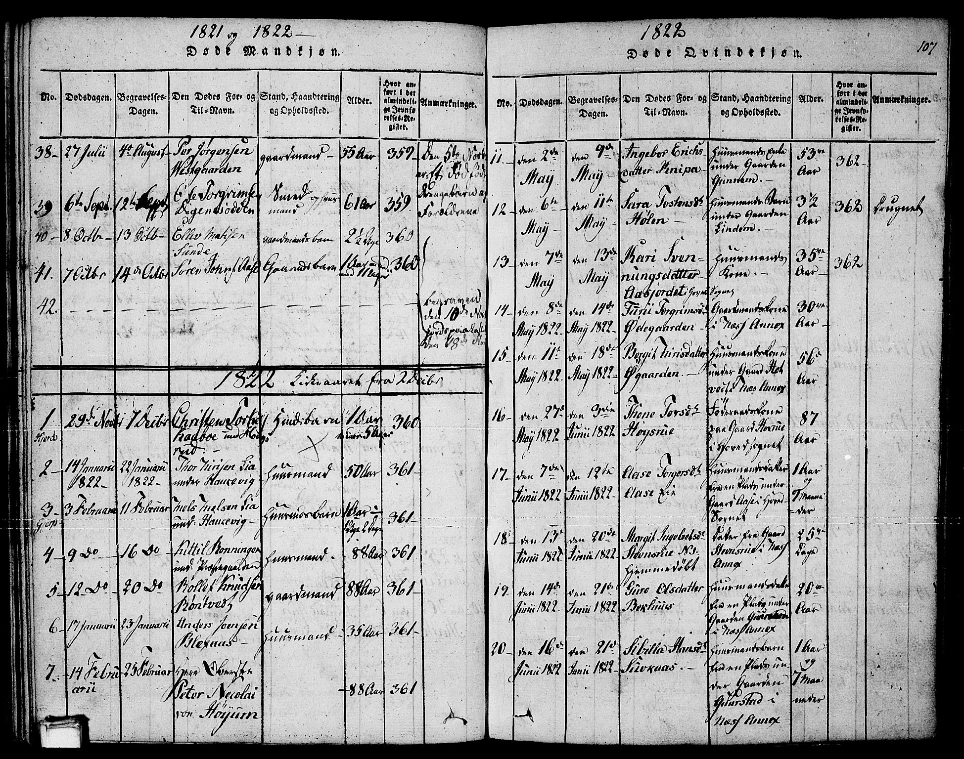 Sauherad kirkebøker, SAKO/A-298/F/Fa/L0005: Parish register (official) no. I 5, 1815-1829, p. 107