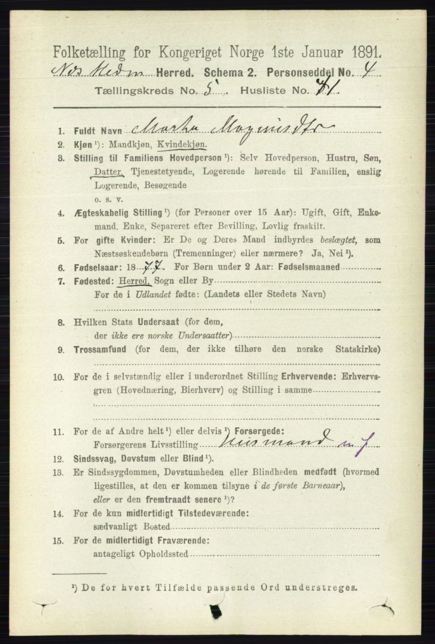 RA, 1891 census for 0411 Nes, 1891, p. 2847