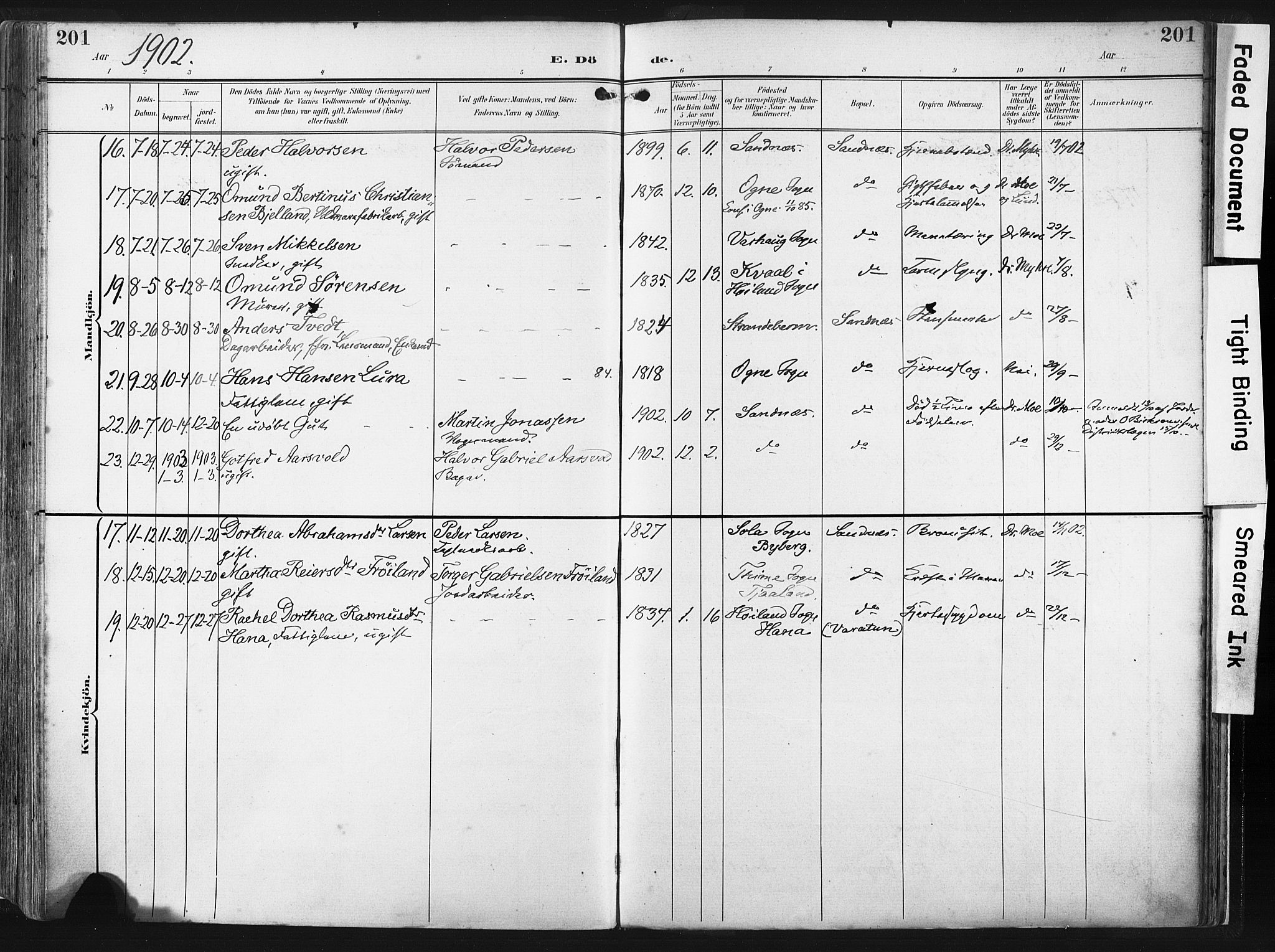 Høyland sokneprestkontor, AV/SAST-A-101799/001/30BA/L0016: Parish register (official) no. A 16, 1899-1911, p. 201