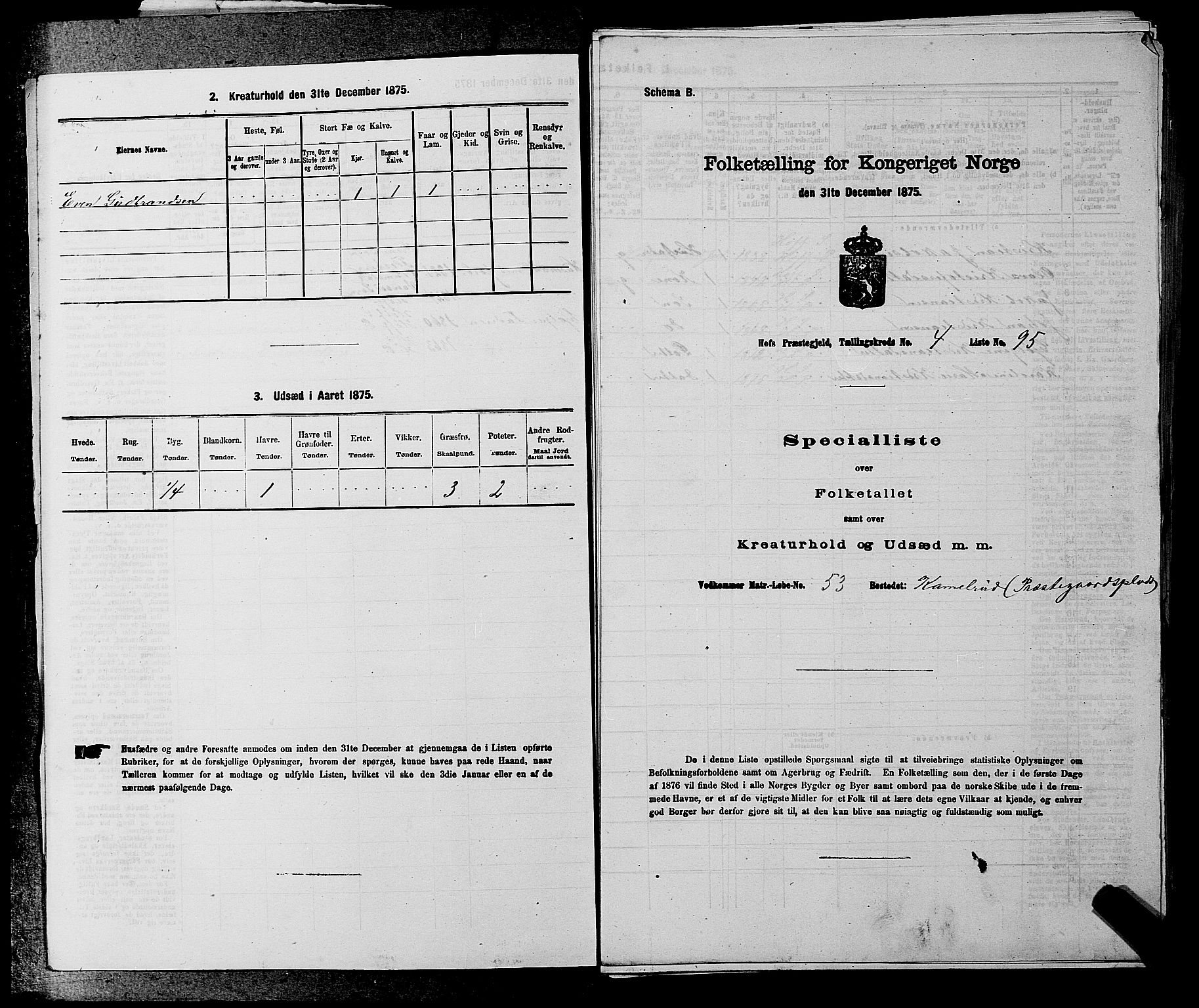 SAKO, 1875 census for 0714P Hof, 1875, p. 489