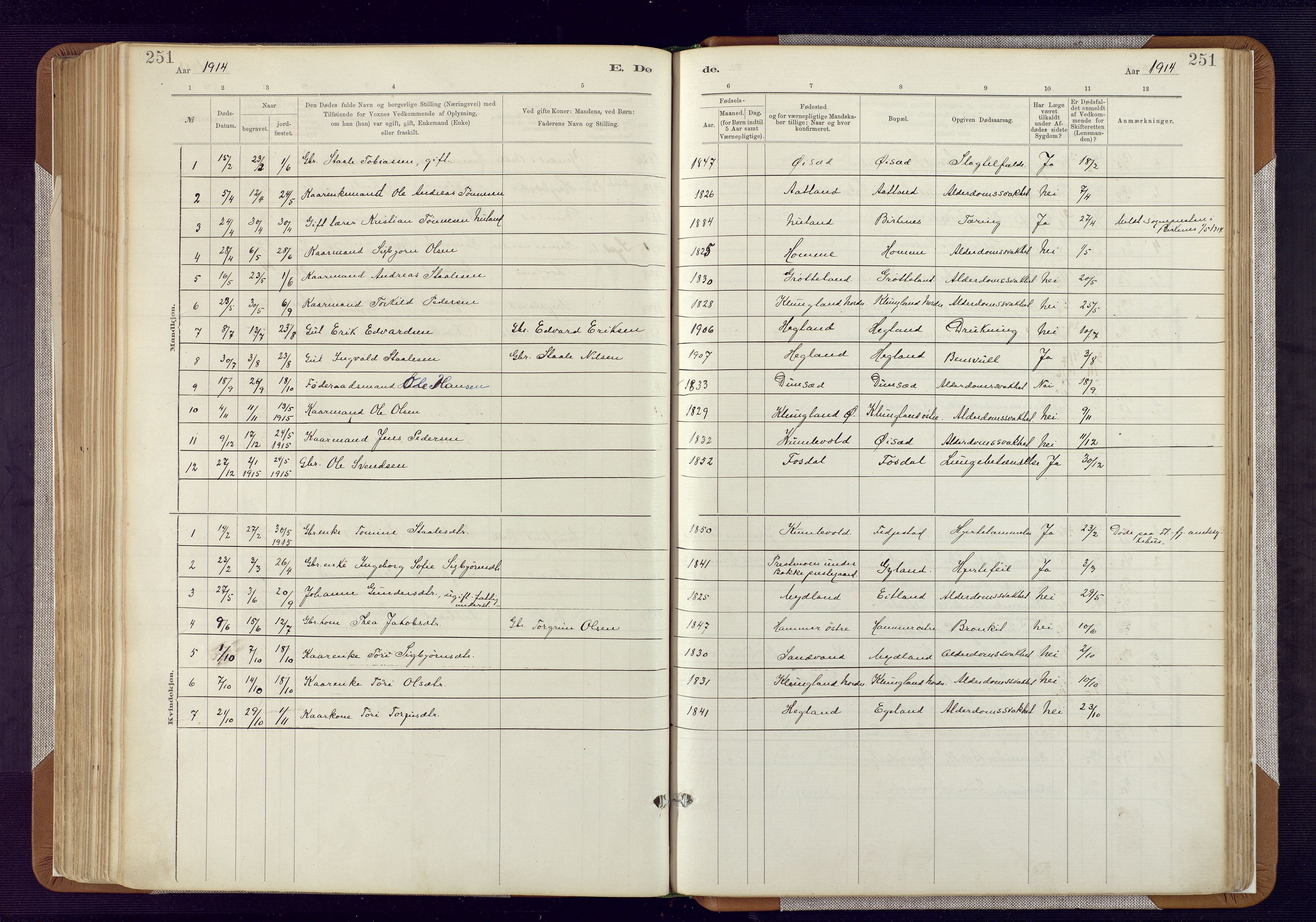 Bakke sokneprestkontor, SAK/1111-0002/F/Fa/Fab/L0003: Parish register (official) no. A 3, 1884-1921, p. 251