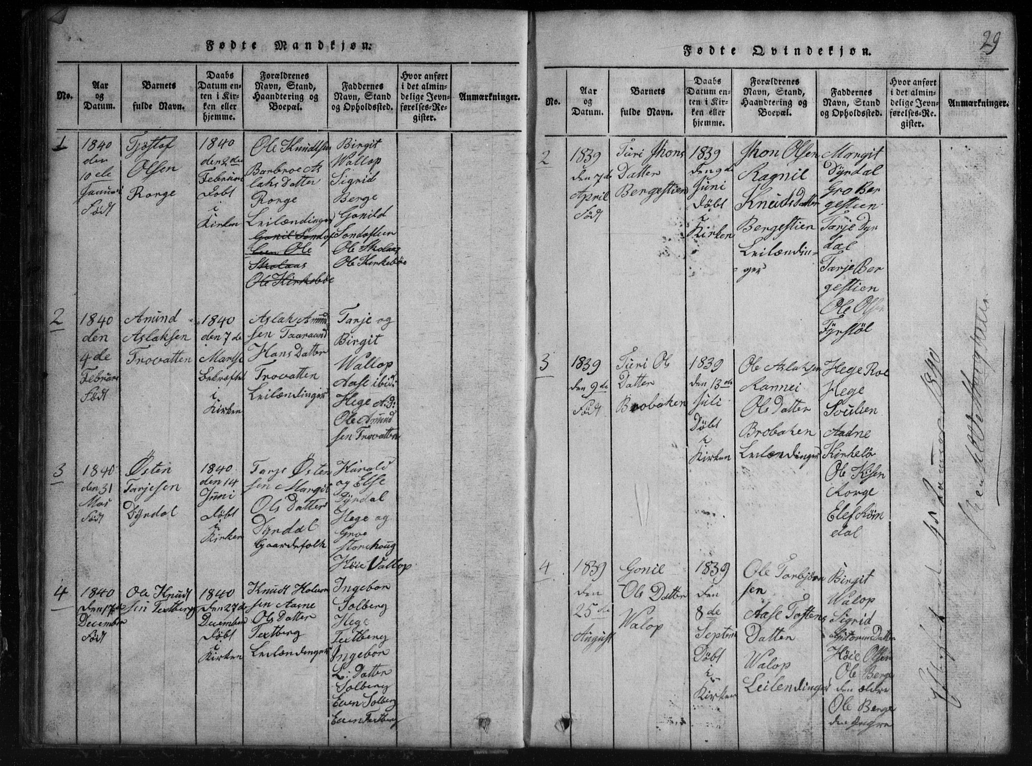 Rauland kirkebøker, AV/SAKO-A-292/G/Gb/L0001: Parish register (copy) no. II 1, 1815-1886, p. 29