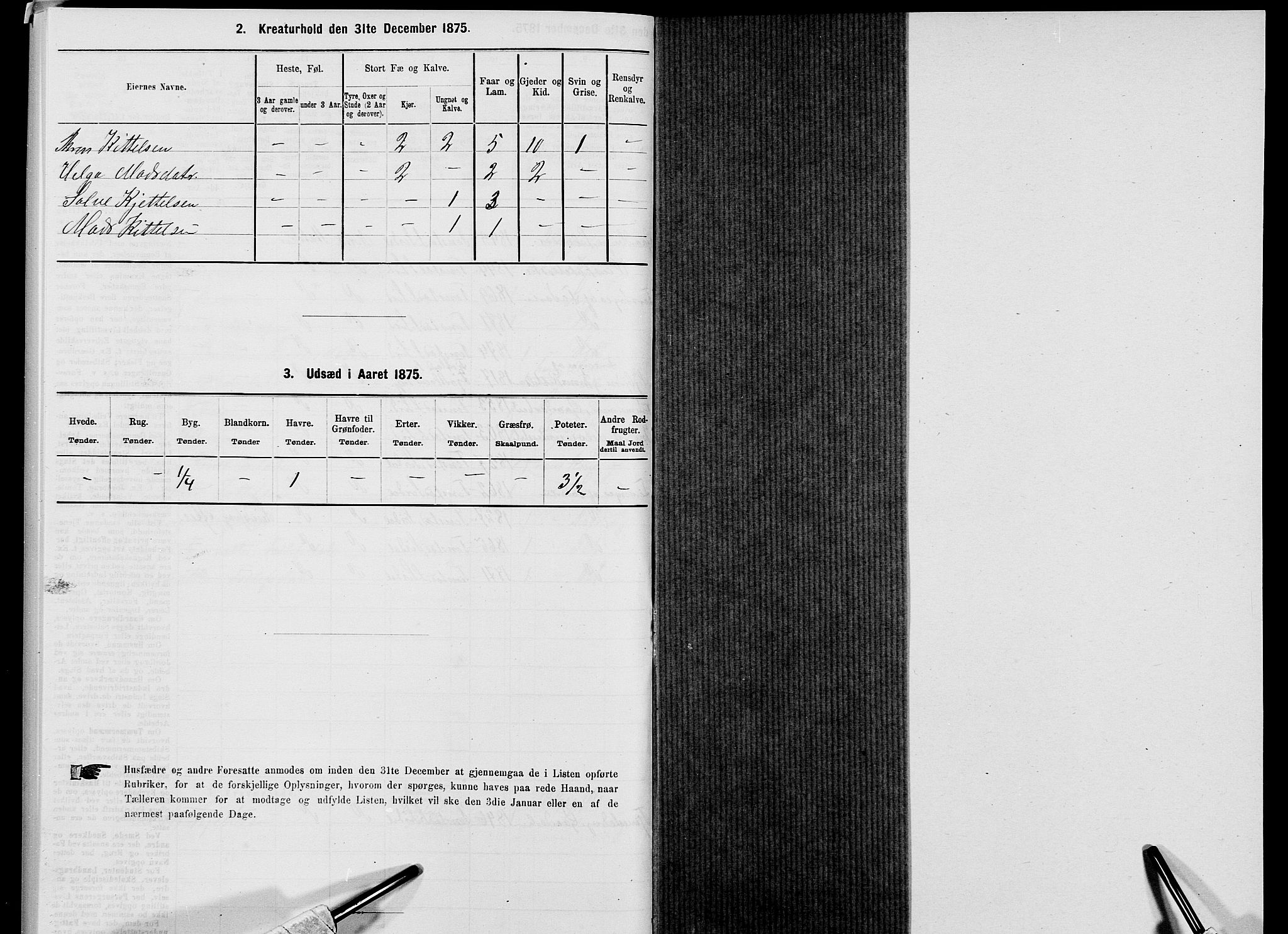 SAK, 1875 census for 1046P Sirdal, 1875, p. 274