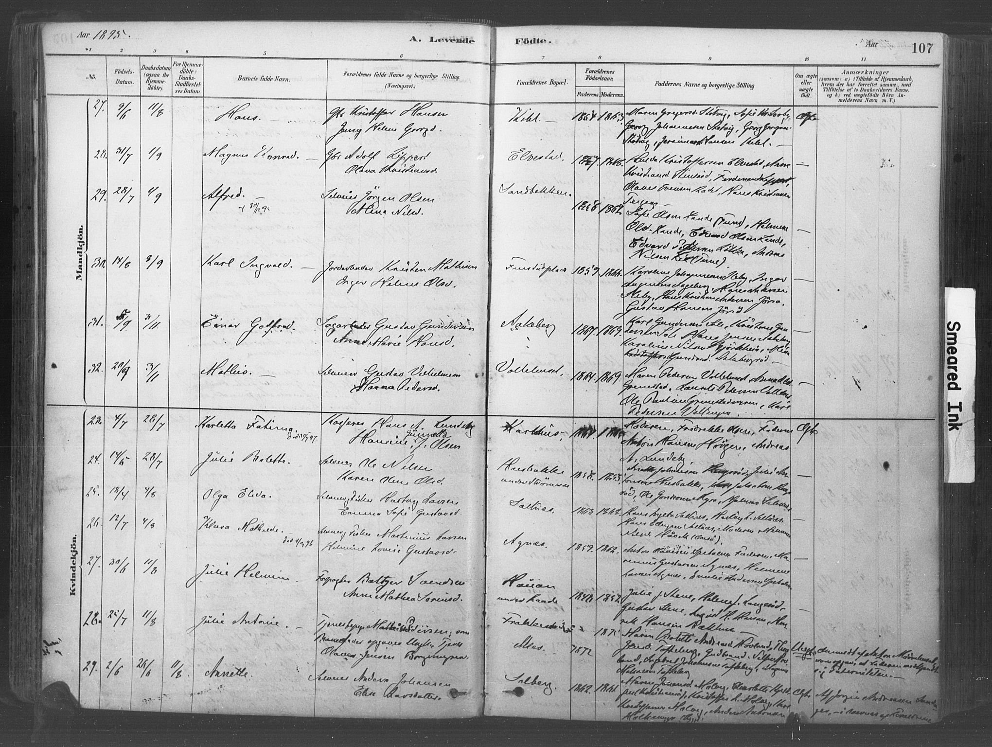 Råde prestekontor kirkebøker, AV/SAO-A-2009/F/Fa/L0007: Parish register (official) no. 7, 1878-1902, p. 107