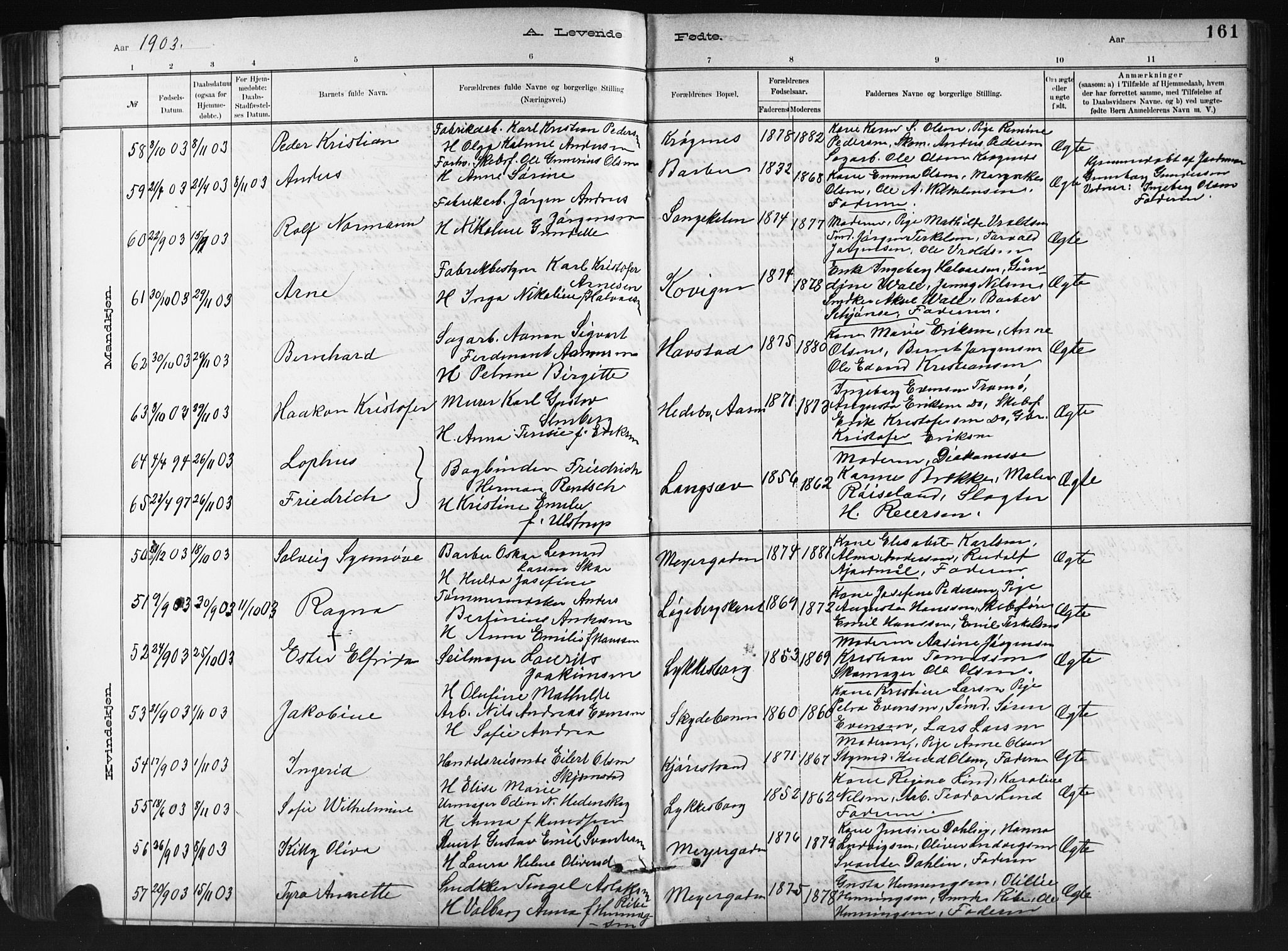 Barbu sokneprestkontor, AV/SAK-1111-0003/F/Fb/L0002: Parish register (copy) no. B 2, 1890-1922, p. 161