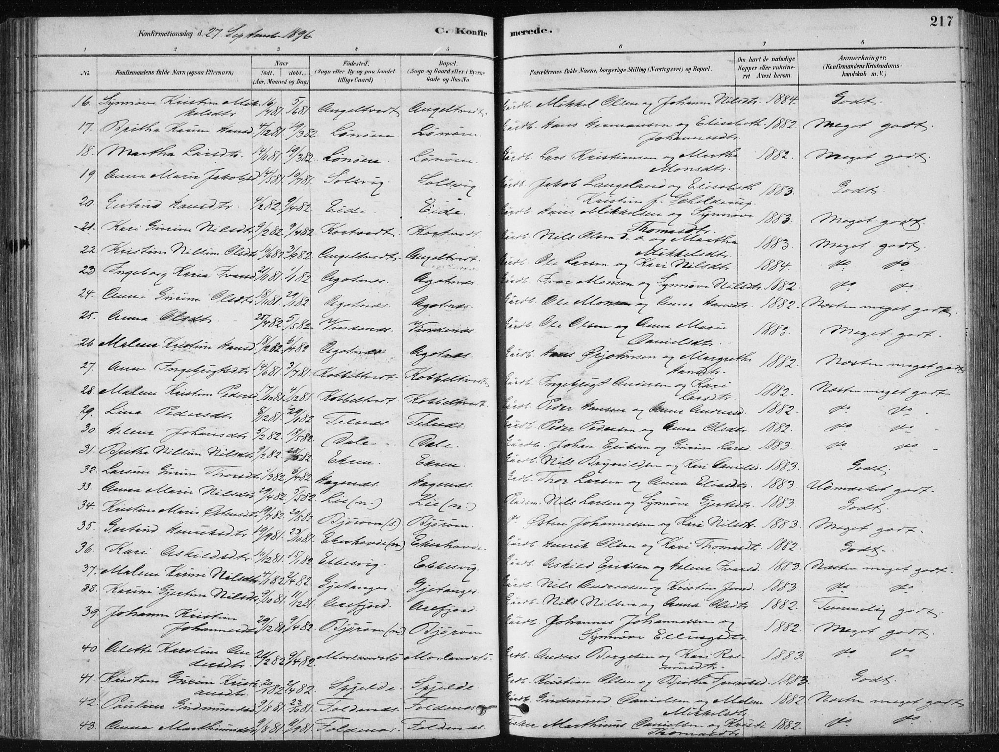 Fjell sokneprestembete, SAB/A-75301/H/Haa: Parish register (official) no. A  8, 1878-1898, p. 217
