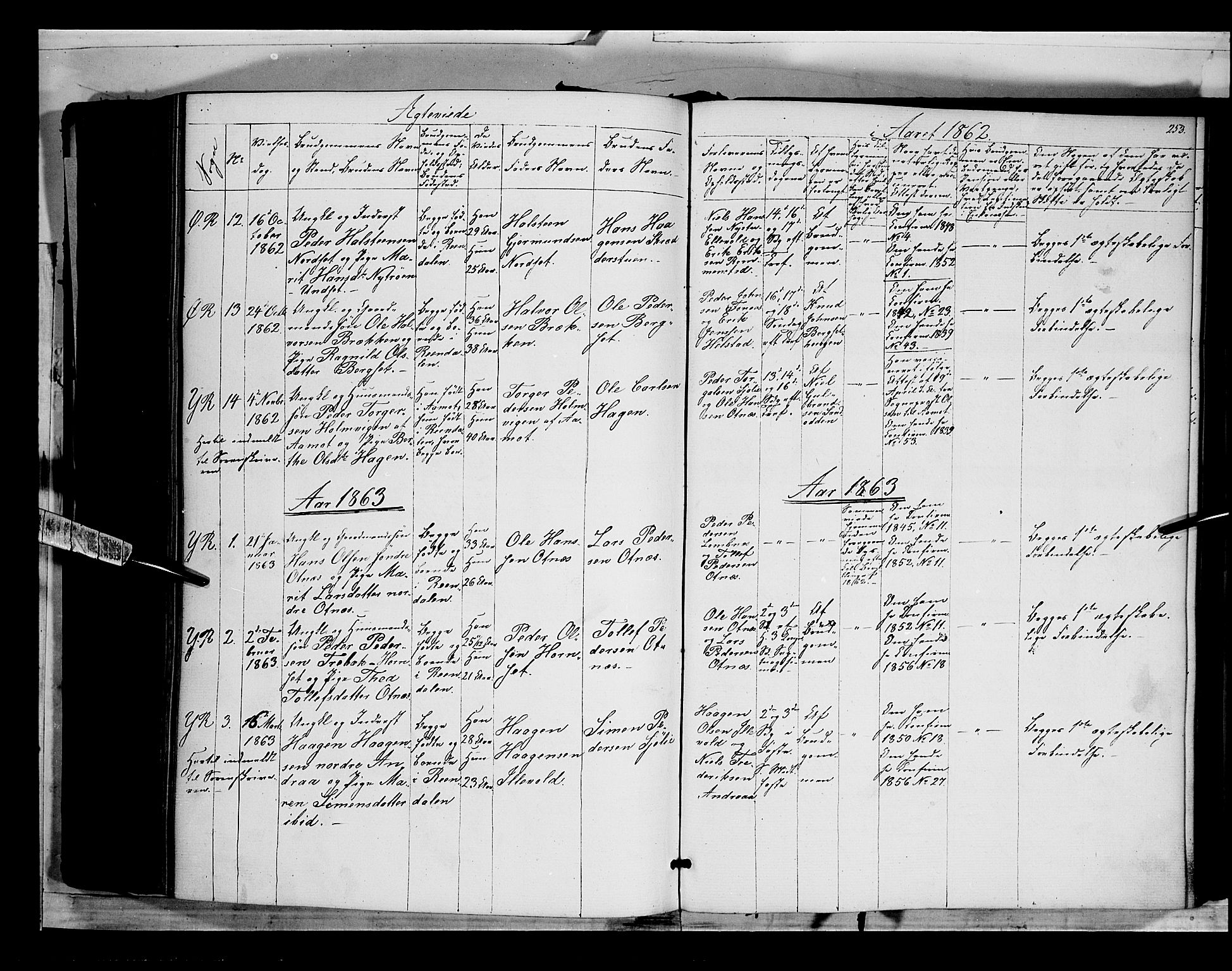 Rendalen prestekontor, SAH/PREST-054/H/Ha/Haa/L0005: Parish register (official) no. 5, 1853-1866, p. 253
