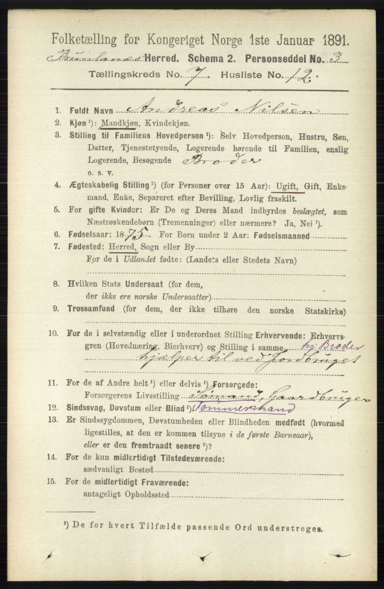 RA, 1891 census for 0726 Brunlanes, 1891, p. 3062