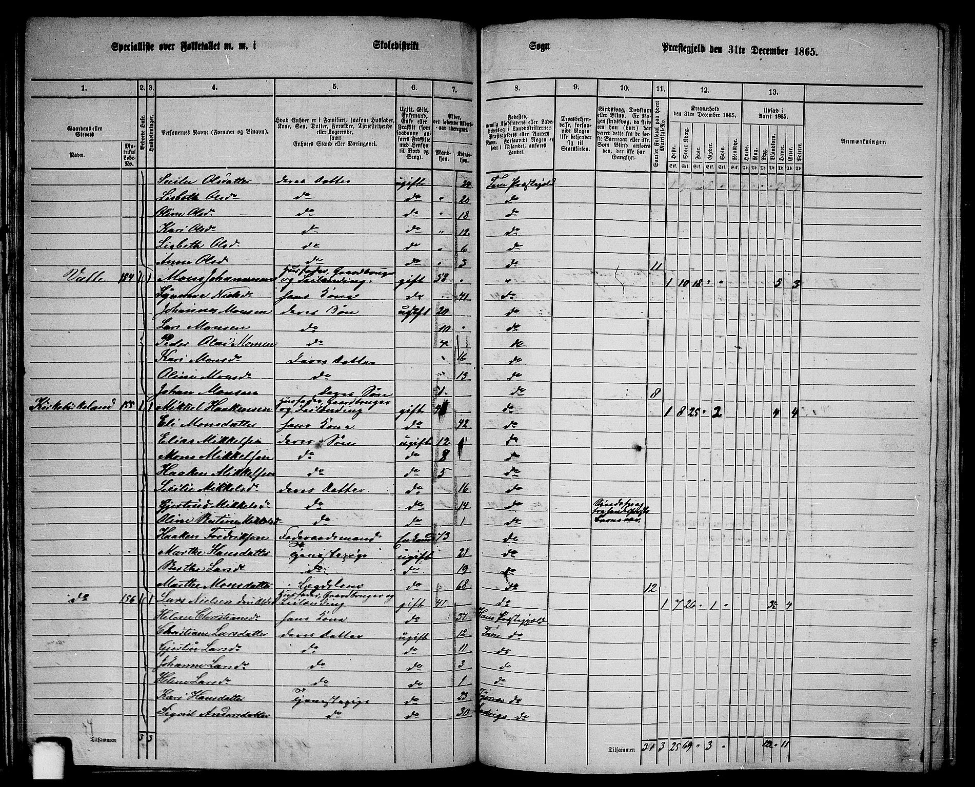 RA, 1865 census for Fana, 1865, p. 69