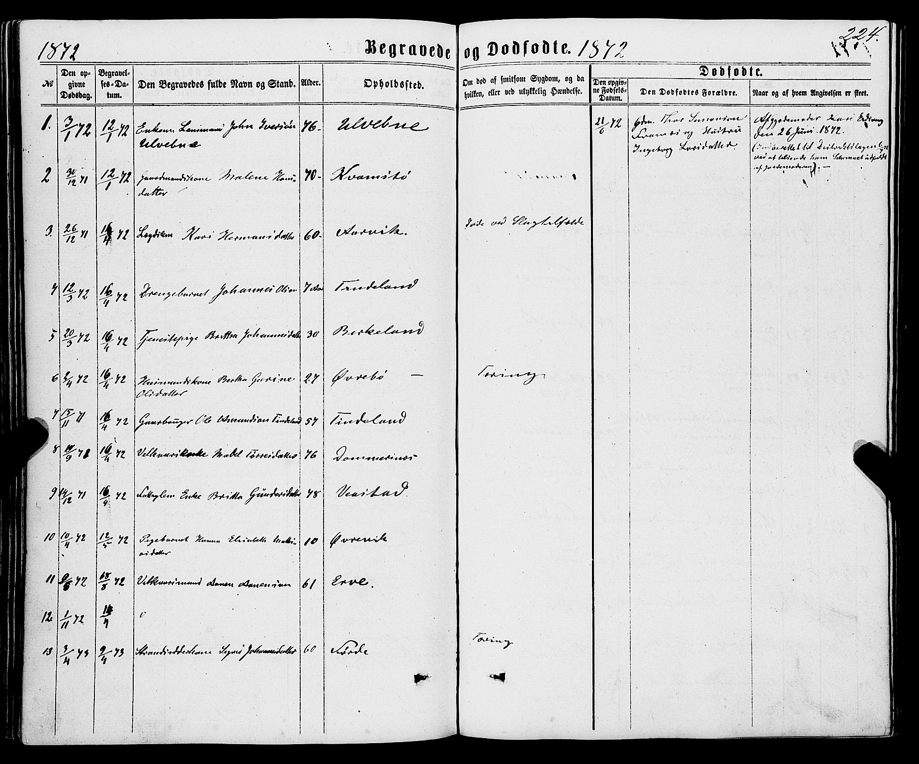 Sveio Sokneprestembete, AV/SAB-A-78501/H/Haa: Parish register (official) no. A 1, 1861-1877, p. 224