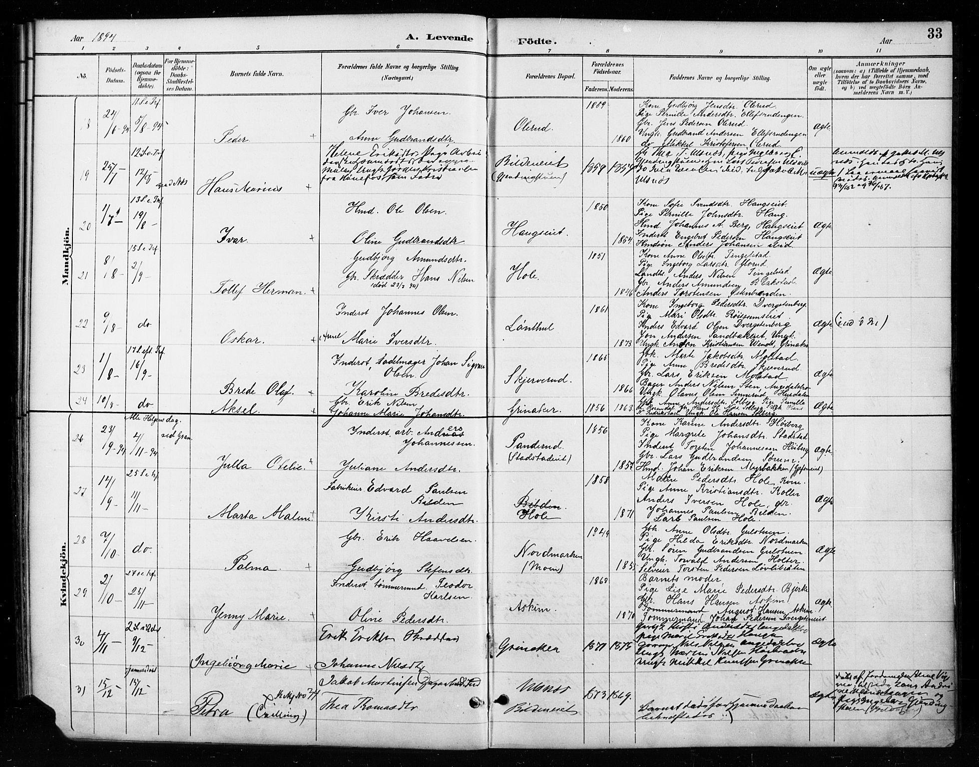 Gran prestekontor, SAH/PREST-112/H/Ha/Haa/L0018: Parish register (official) no. 18, 1889-1899, p. 33