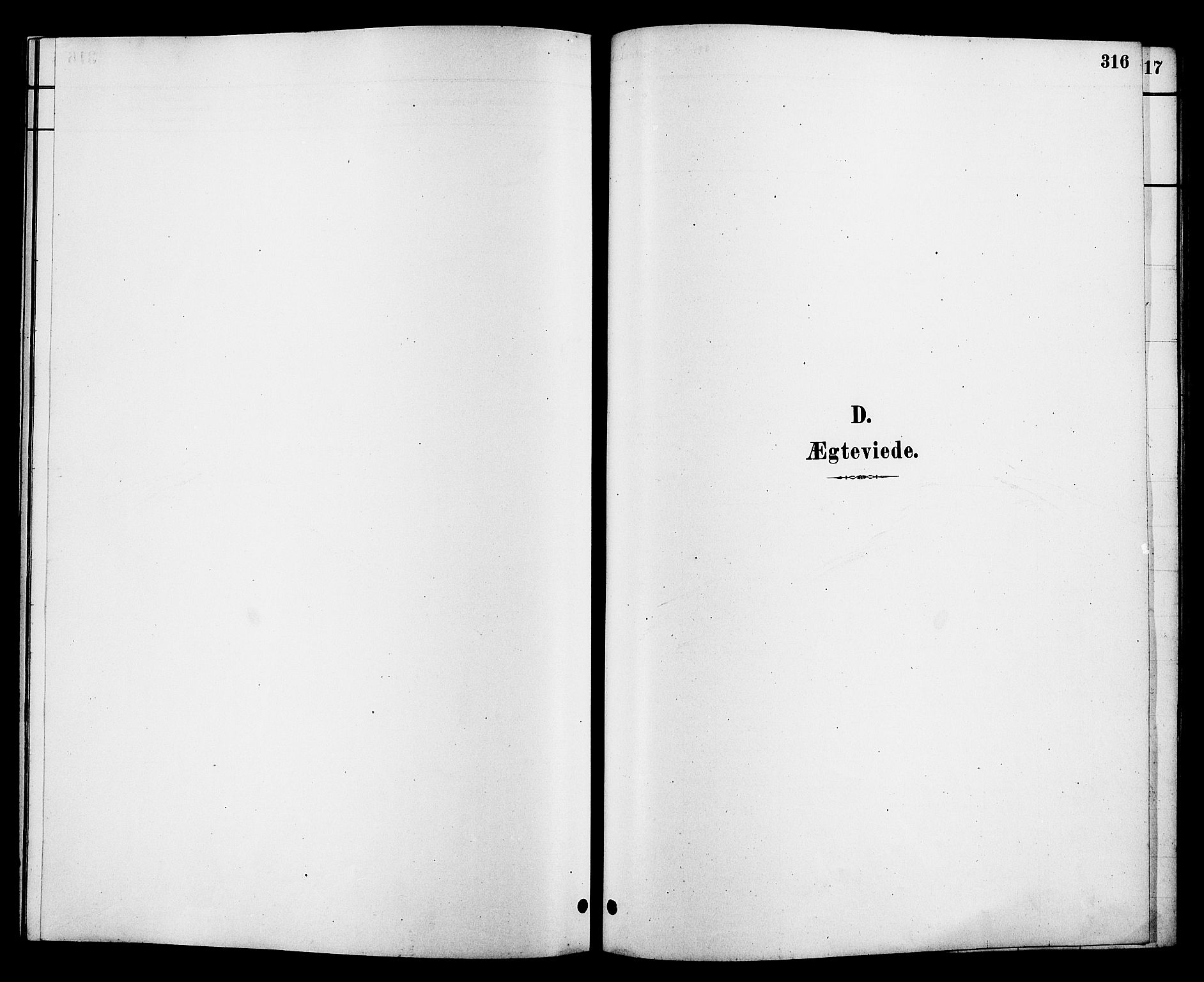 Heddal kirkebøker, SAKO/A-268/G/Ga/L0002: Parish register (copy) no. I 2, 1879-1908, p. 316