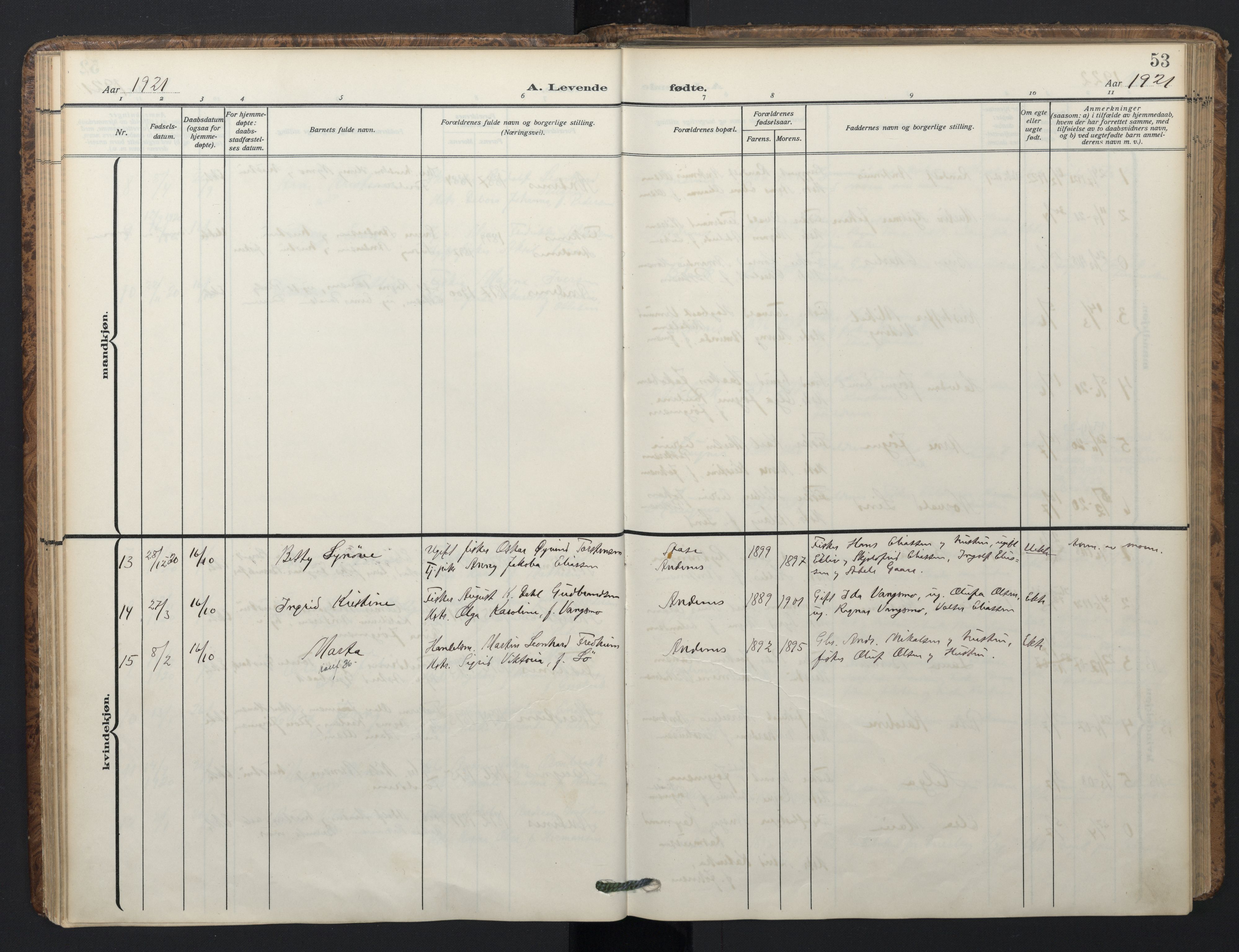 Ministerialprotokoller, klokkerbøker og fødselsregistre - Nordland, SAT/A-1459/899/L1438: Parish register (official) no. 899A06, 1909-1922, p. 53