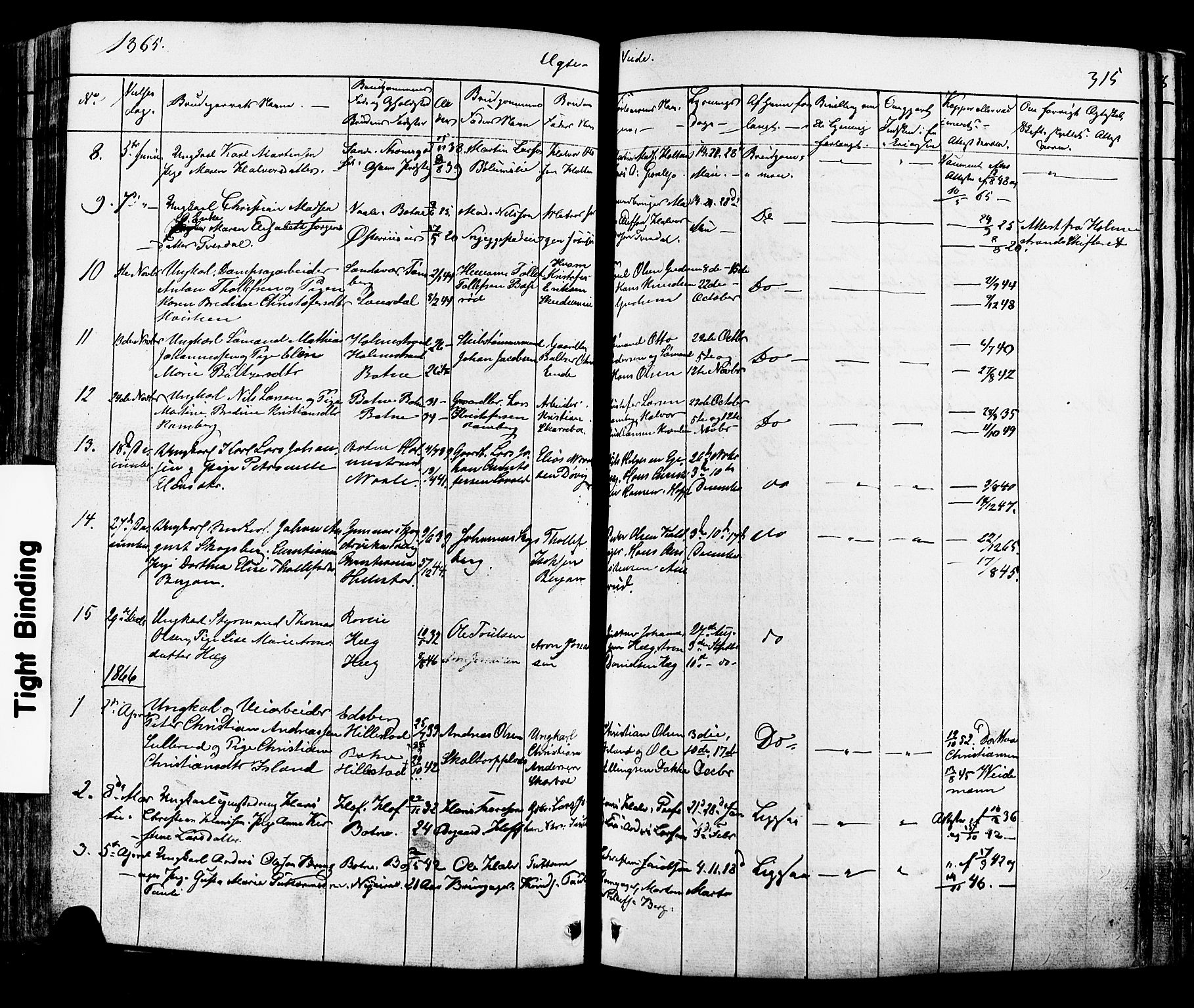 Botne kirkebøker, AV/SAKO-A-340/F/Fa/L0006: Parish register (official) no. I 6, 1836-1877, p. 315