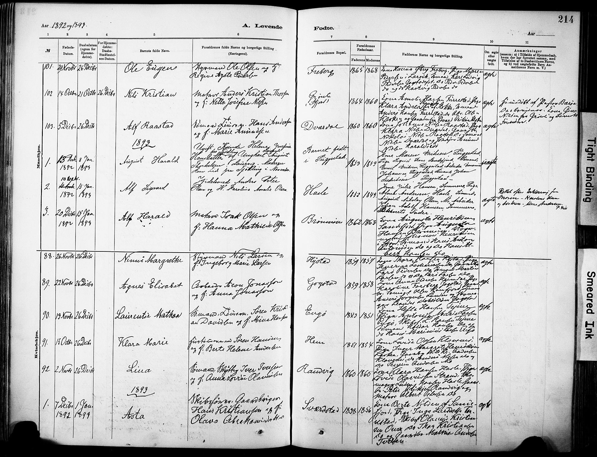 Sandar kirkebøker, SAKO/A-243/F/Fa/L0012: Parish register (official) no. 12, 1883-1895, p. 214