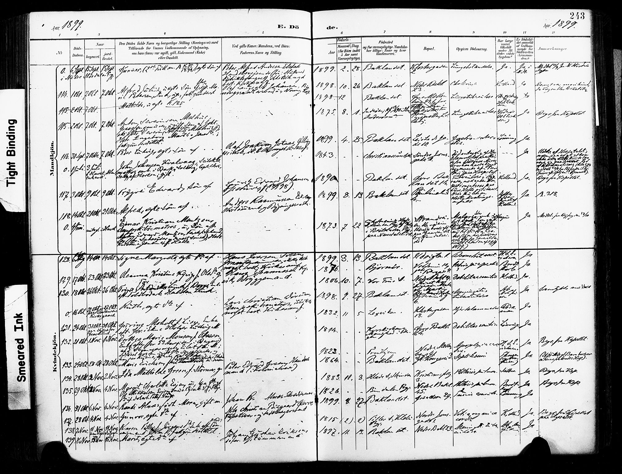 Ministerialprotokoller, klokkerbøker og fødselsregistre - Sør-Trøndelag, AV/SAT-A-1456/604/L0198: Parish register (official) no. 604A19, 1893-1900, p. 243