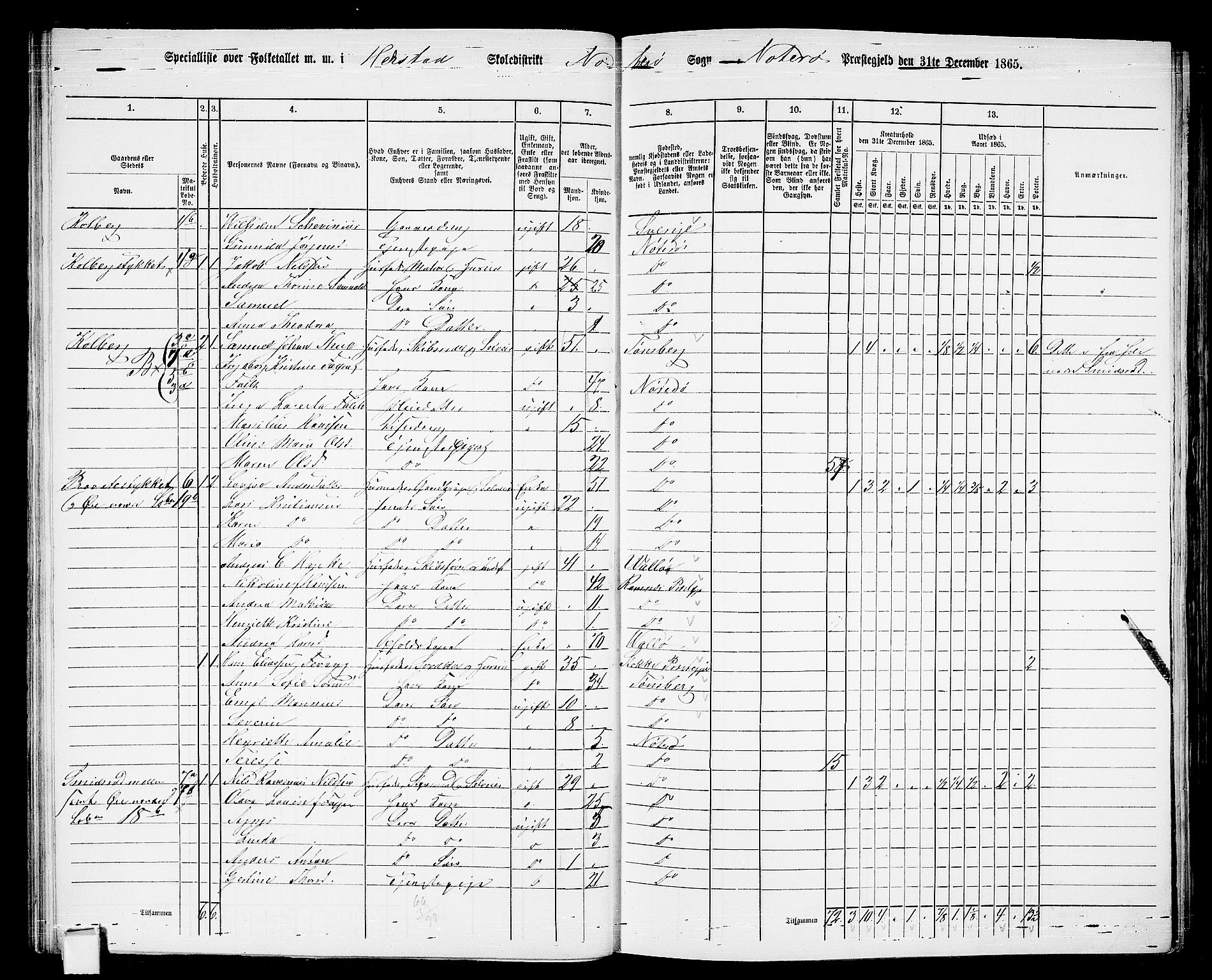 RA, 1865 census for Nøtterøy, 1865, p. 42