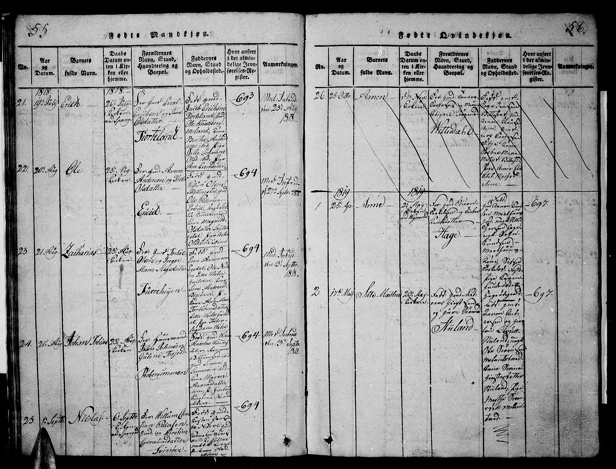 Sør-Audnedal sokneprestkontor, AV/SAK-1111-0039/F/Fb/Fbb/L0001: Parish register (copy) no. B 1, 1815-1827, p. 55-56