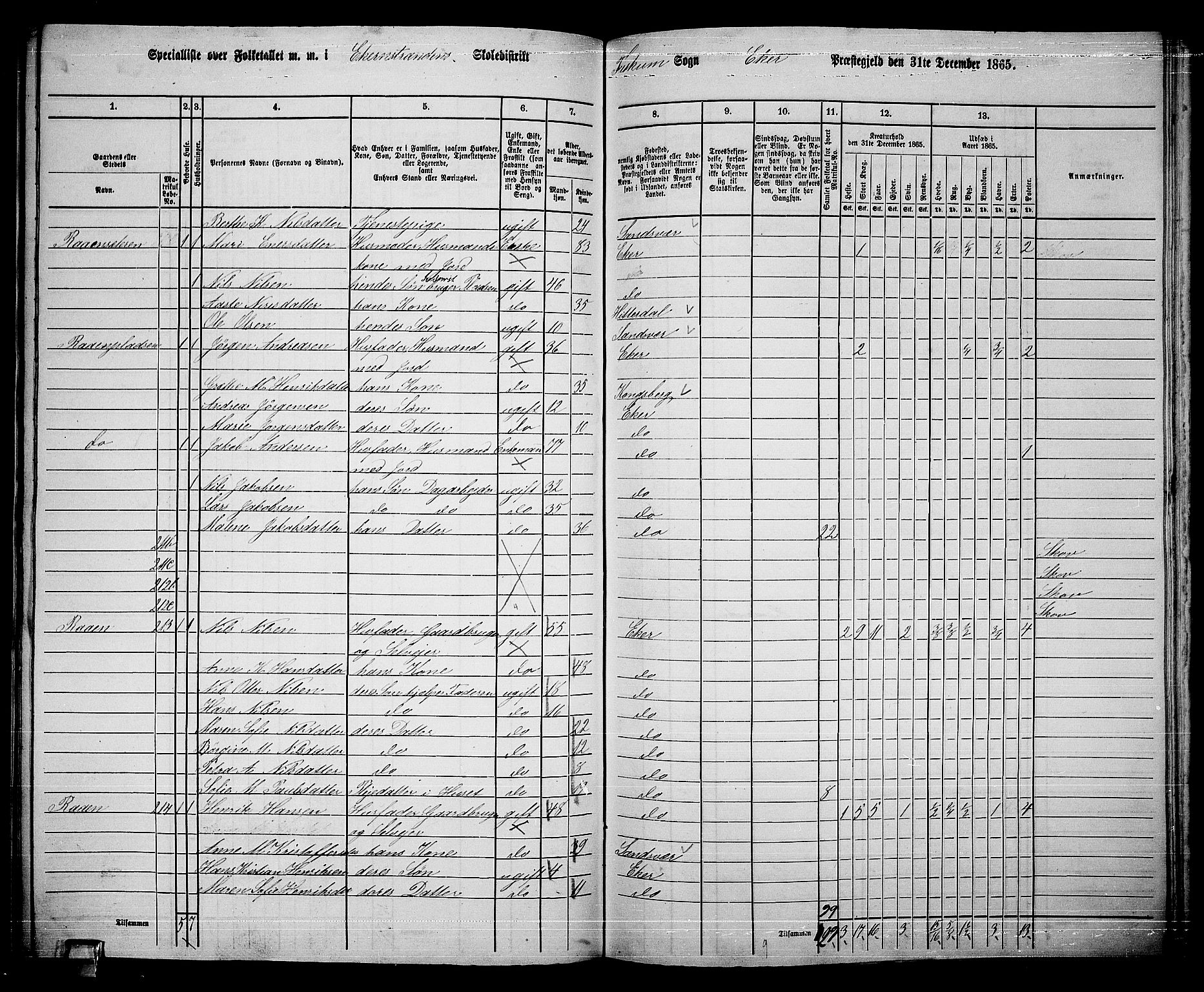 RA, 1865 census for Eiker, 1865, p. 492