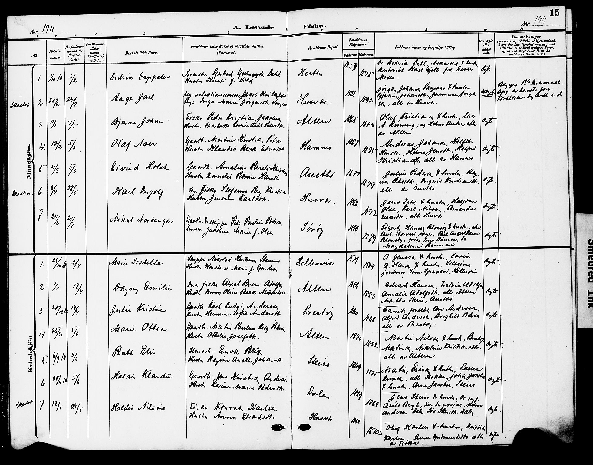 Ministerialprotokoller, klokkerbøker og fødselsregistre - Nordland, AV/SAT-A-1459/830/L0464: Parish register (copy) no. 830C06, 1906-1925, p. 15