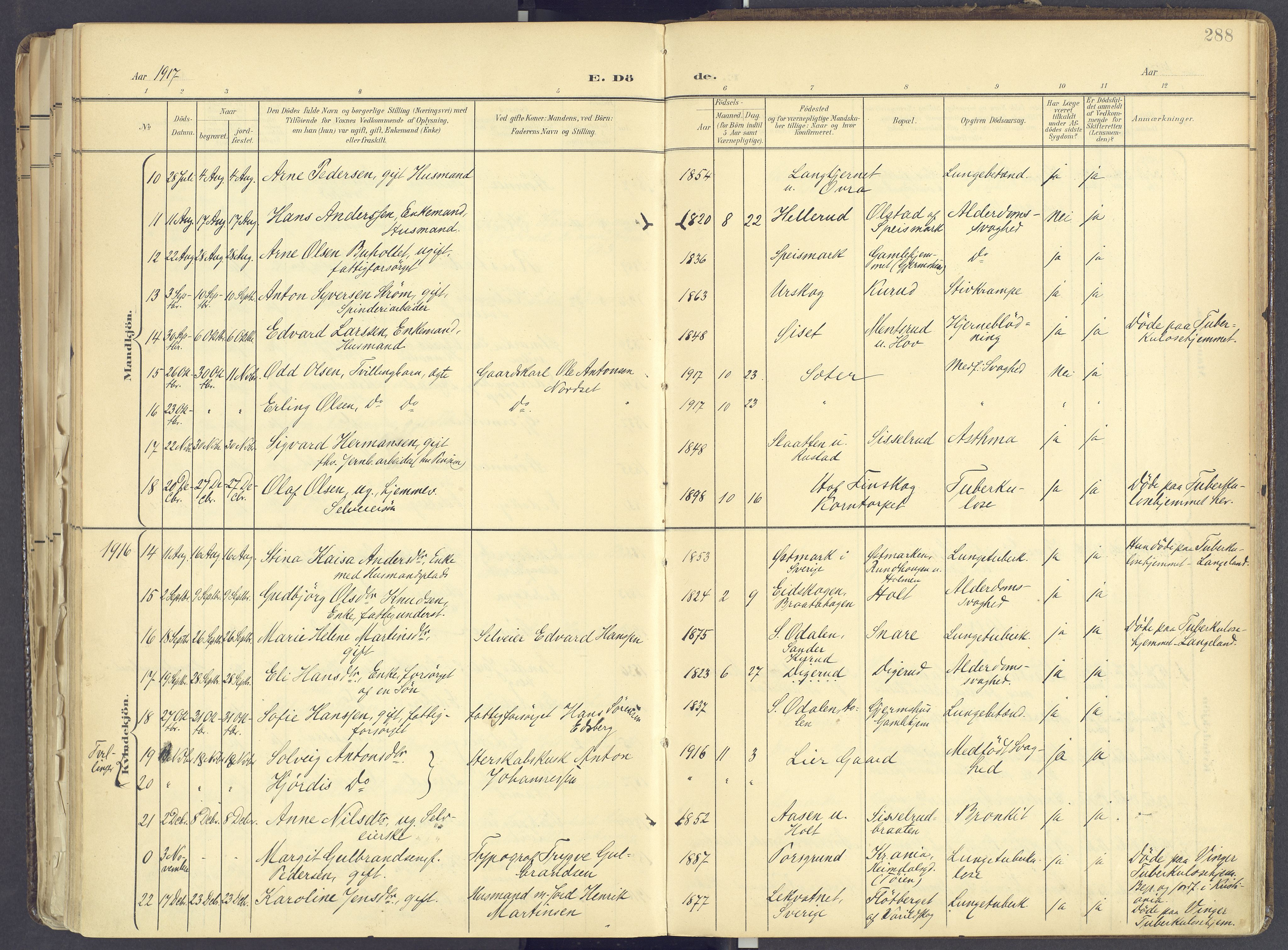 Vinger prestekontor, AV/SAH-PREST-024/H/Ha/Haa/L0017: Parish register (official) no. 17, 1901-1927, p. 288