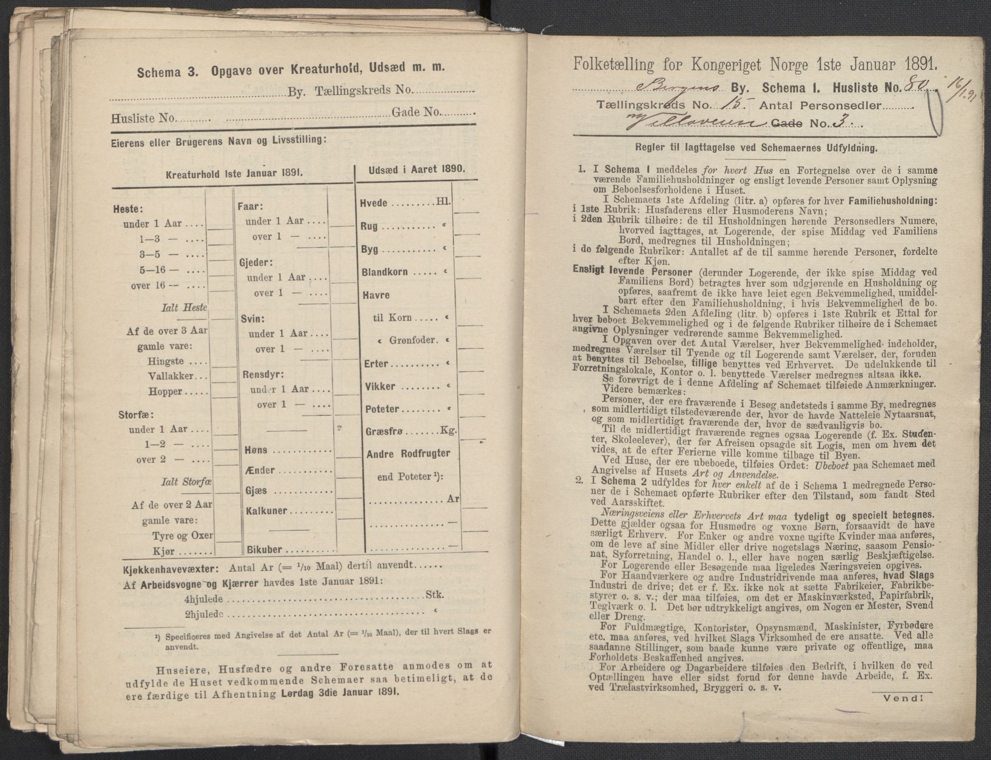 RA, 1891 Census for 1301 Bergen, 1891, p. 2462