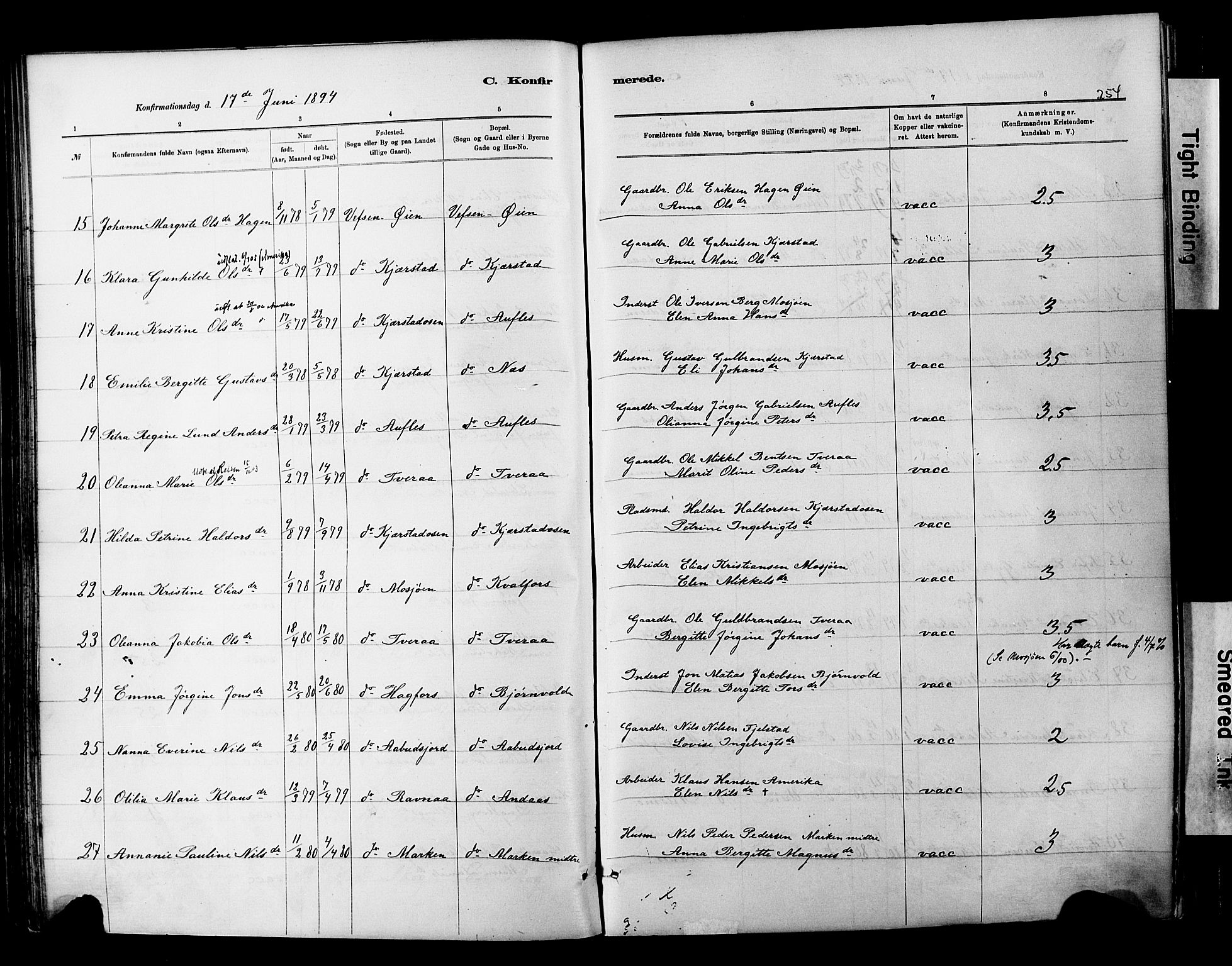 Ministerialprotokoller, klokkerbøker og fødselsregistre - Nordland, AV/SAT-A-1459/820/L0295: Parish register (official) no. 820A16, 1880-1896, p. 254