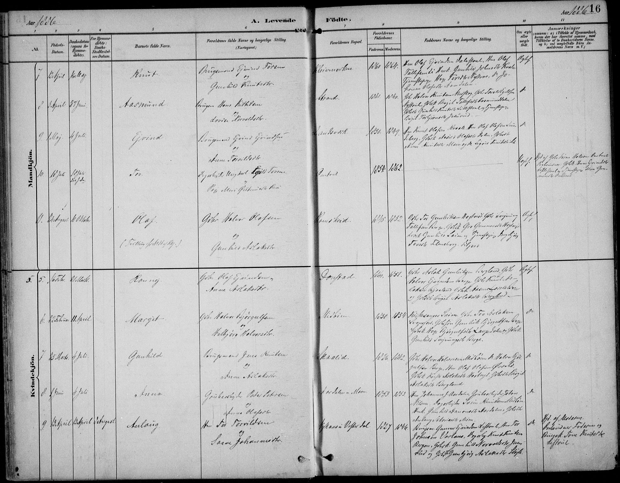 Kviteseid kirkebøker, AV/SAKO-A-276/F/Fb/L0002: Parish register (official) no. II 2, 1882-1916, p. 16