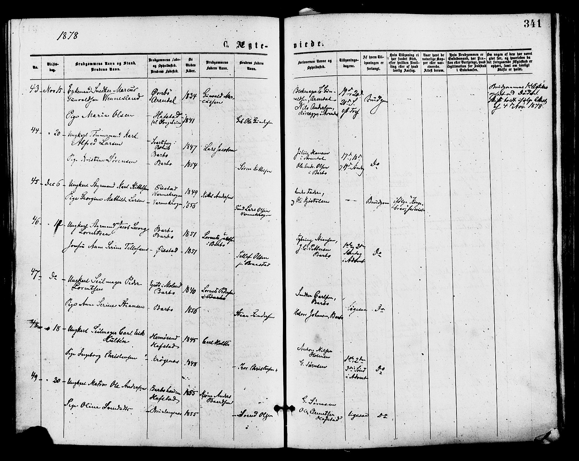 Barbu sokneprestkontor, AV/SAK-1111-0003/F/Fa/L0001: Parish register (official) no. A 1 /1, 1878-1883, p. 341