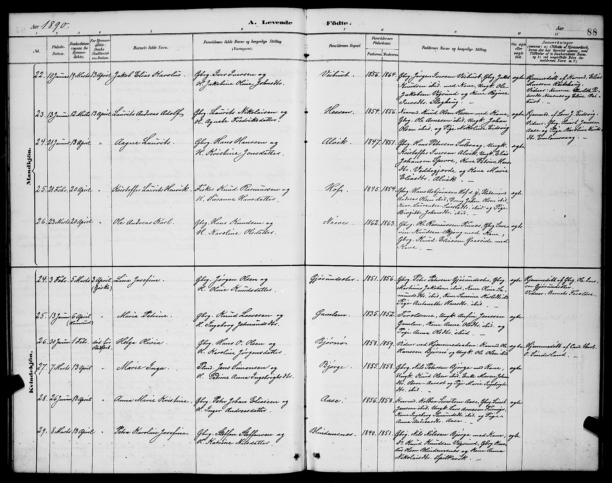 Ministerialprotokoller, klokkerbøker og fødselsregistre - Møre og Romsdal, AV/SAT-A-1454/528/L0431: Parish register (copy) no. 528C12, 1885-1898, p. 88