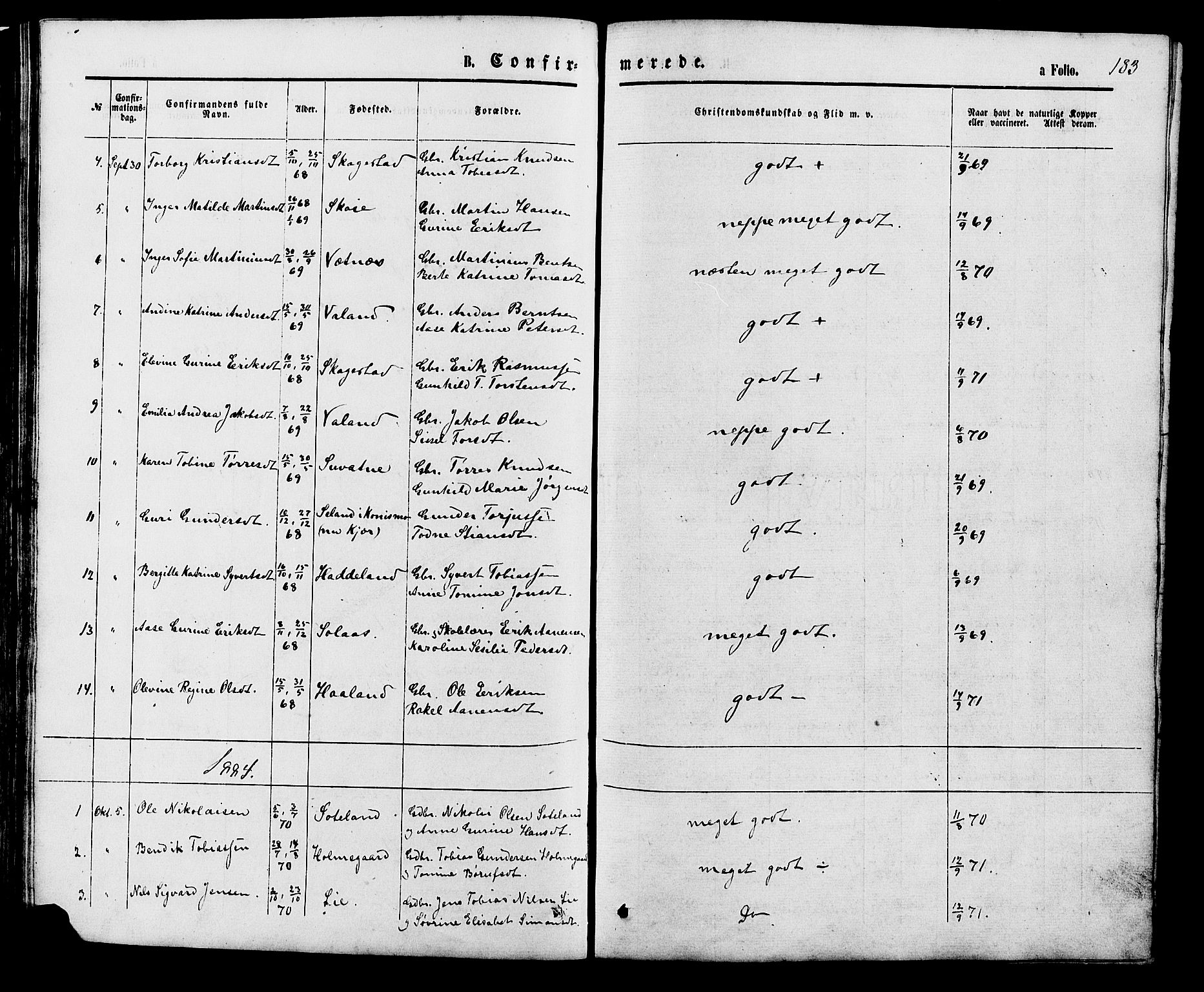 Holum sokneprestkontor, AV/SAK-1111-0022/F/Fb/Fba/L0004: Parish register (copy) no. B 4, 1867-1890, p. 183