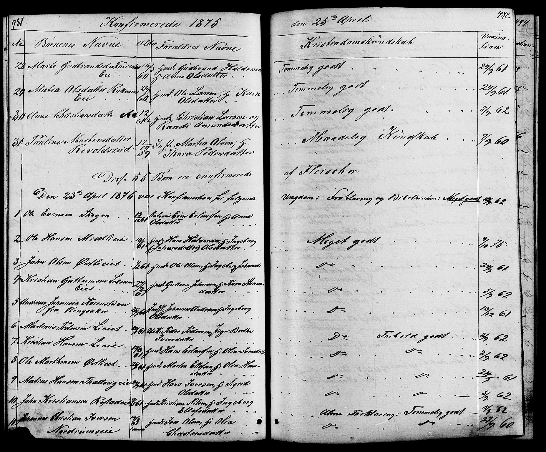 Østre Gausdal prestekontor, SAH/PREST-092/H/Ha/Hab/L0001: Parish register (copy) no. 1, 1863-1893, p. 481-482