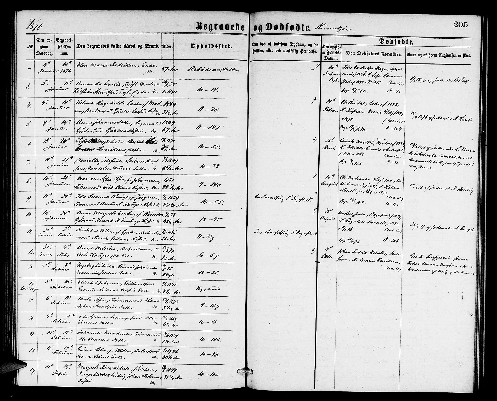 Domkirken sokneprestembete, AV/SAB-A-74801/H/Hab/L0040: Parish register (copy) no. E 4, 1868-1877, p. 205