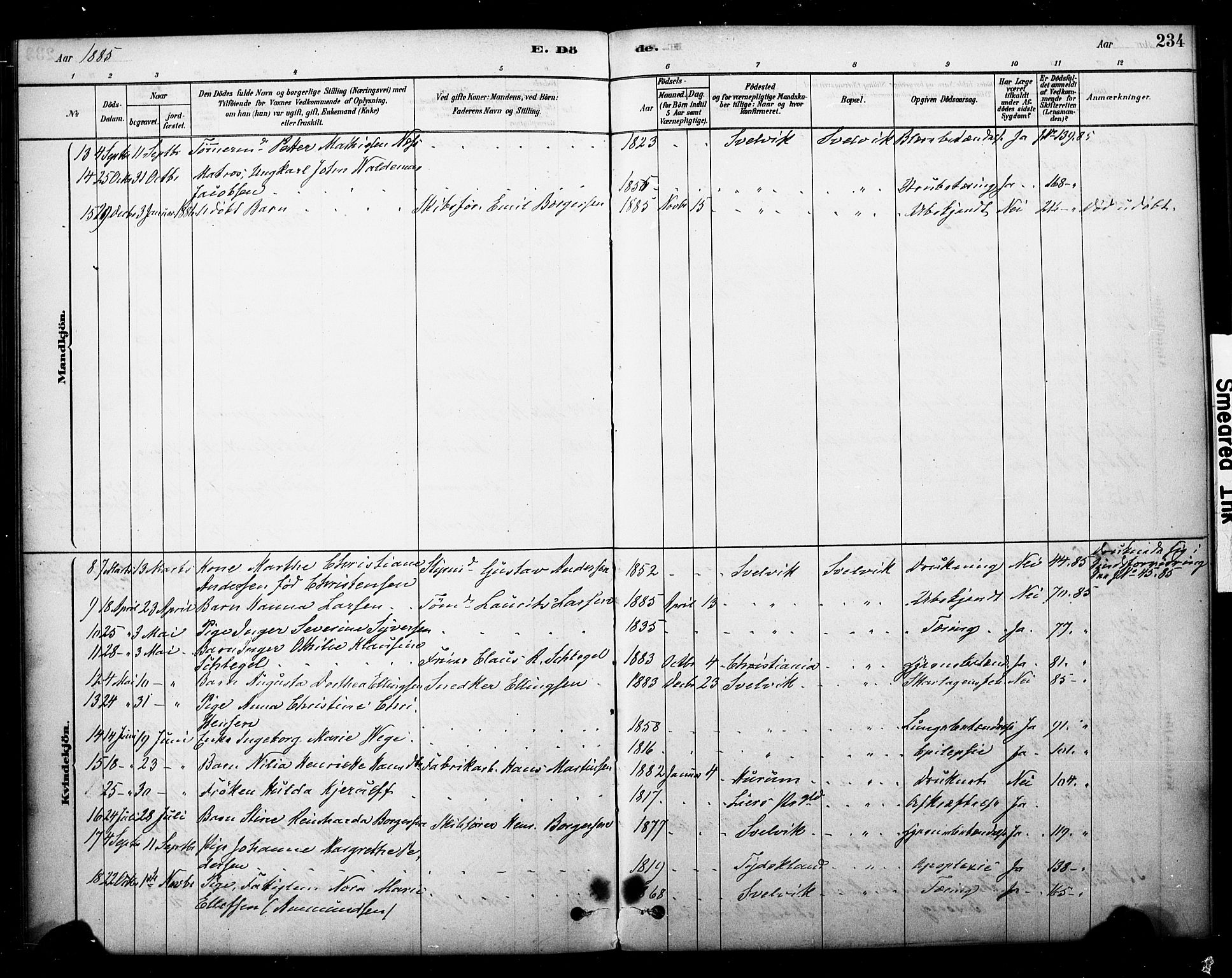 Strømm kirkebøker, AV/SAKO-A-322/F/Fb/L0001: Parish register (official) no. II 1, 1878-1899, p. 234