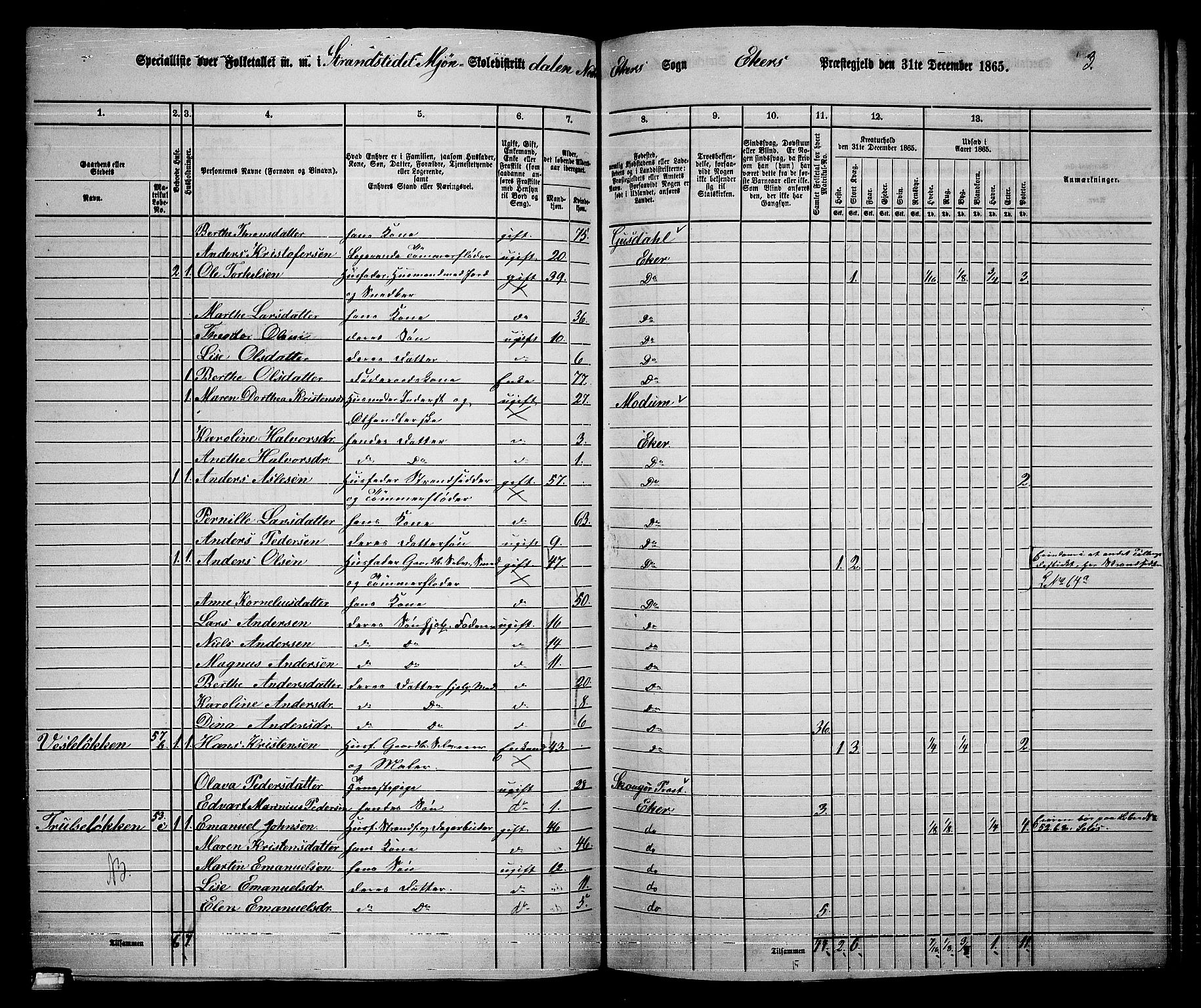 RA, 1865 census for Eiker, 1865, p. 406