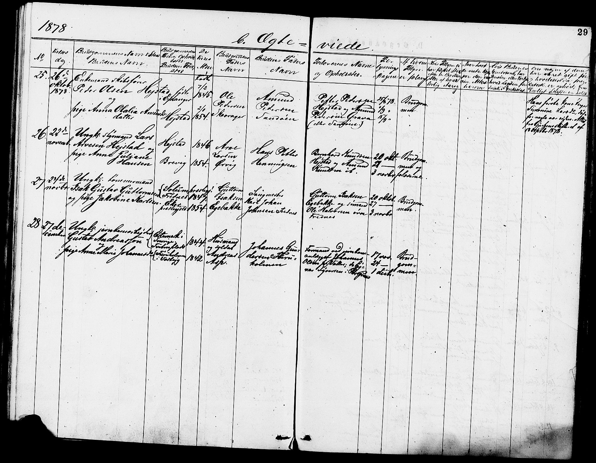 Eidanger kirkebøker, SAKO/A-261/F/Fa/L0011: Parish register (official) no. 11, 1875-1878, p. 29
