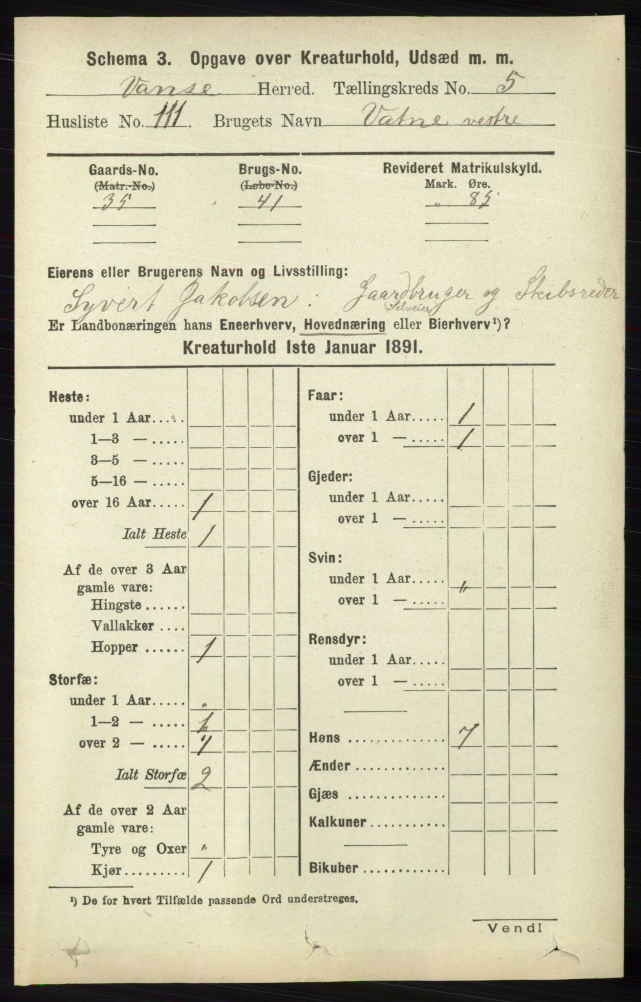 RA, 1891 census for 1041 Vanse, 1891, p. 8957