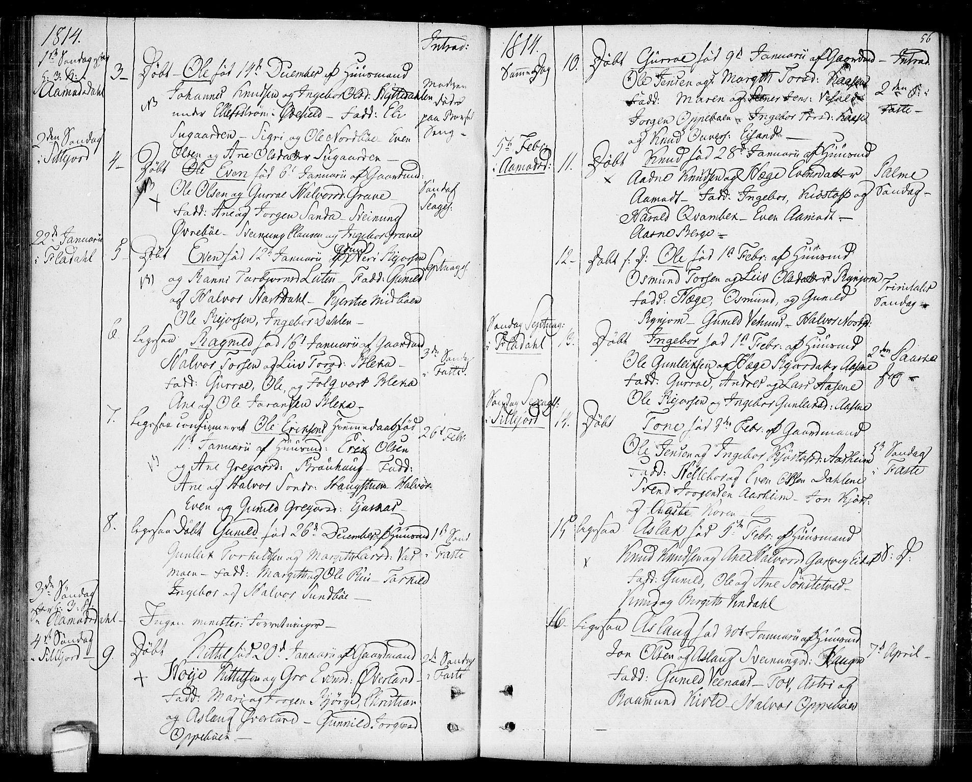 Seljord kirkebøker, SAKO/A-20/F/Fa/L0009: Parish register (official) no. I 9, 1801-1814, p. 56