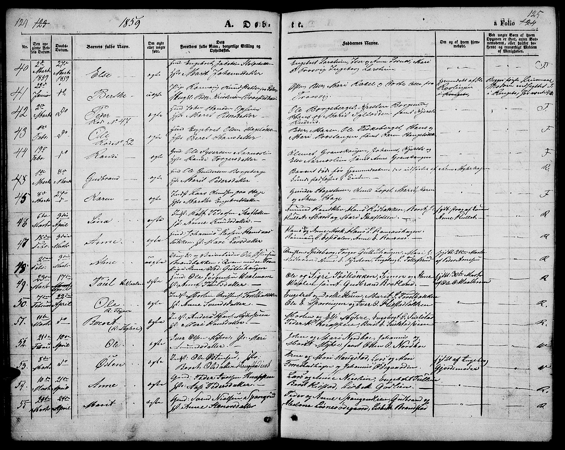 Ringebu prestekontor, AV/SAH-PREST-082/H/Ha/Hab/L0003: Parish register (copy) no. 3, 1854-1866, p. 124-125