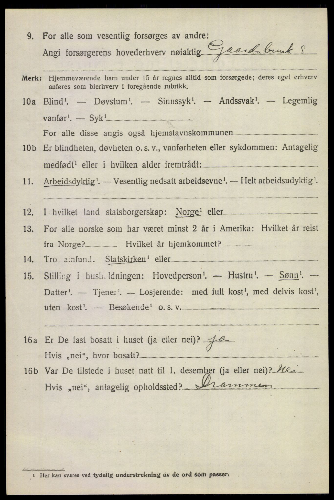 SAKO, 1920 census for Ål, 1920, p. 8131